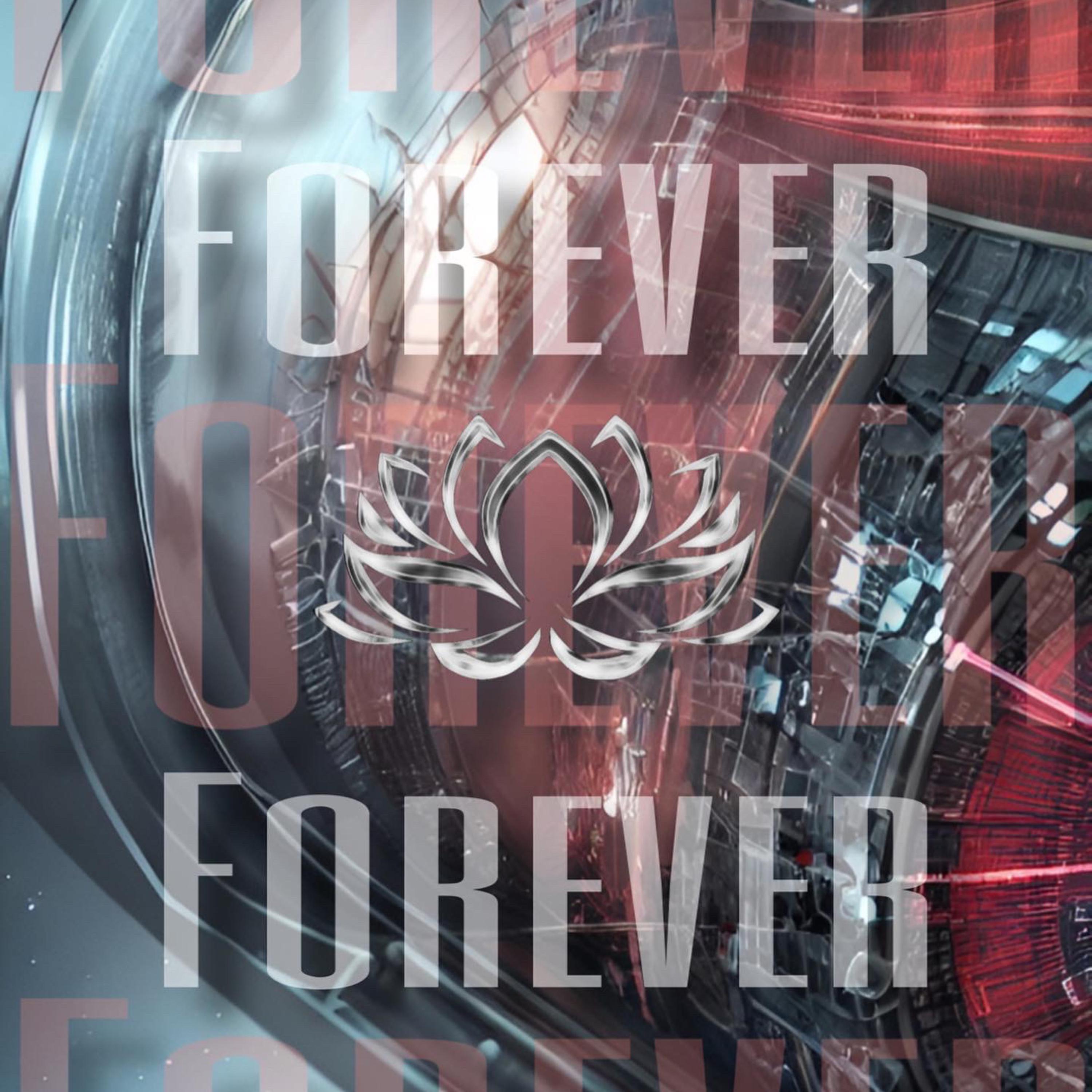 Lotus In Space artwork