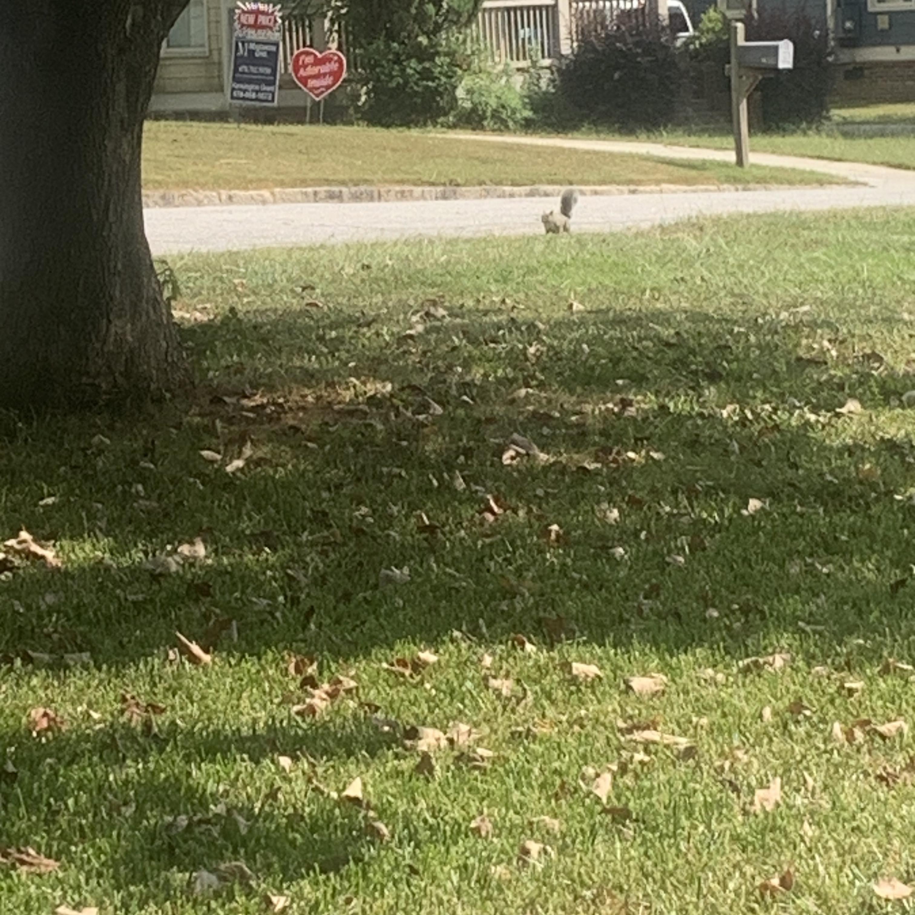 Wake up get money up artwork