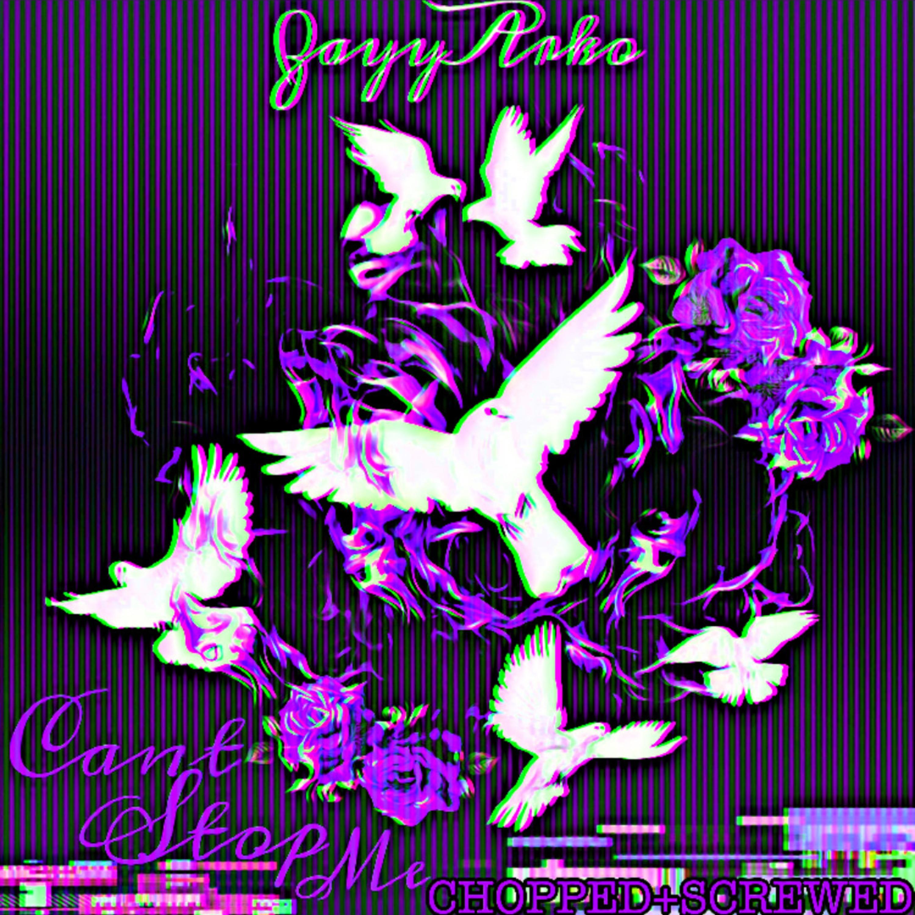CANT STOP ME (CHOPPED x SCREWED) artwork