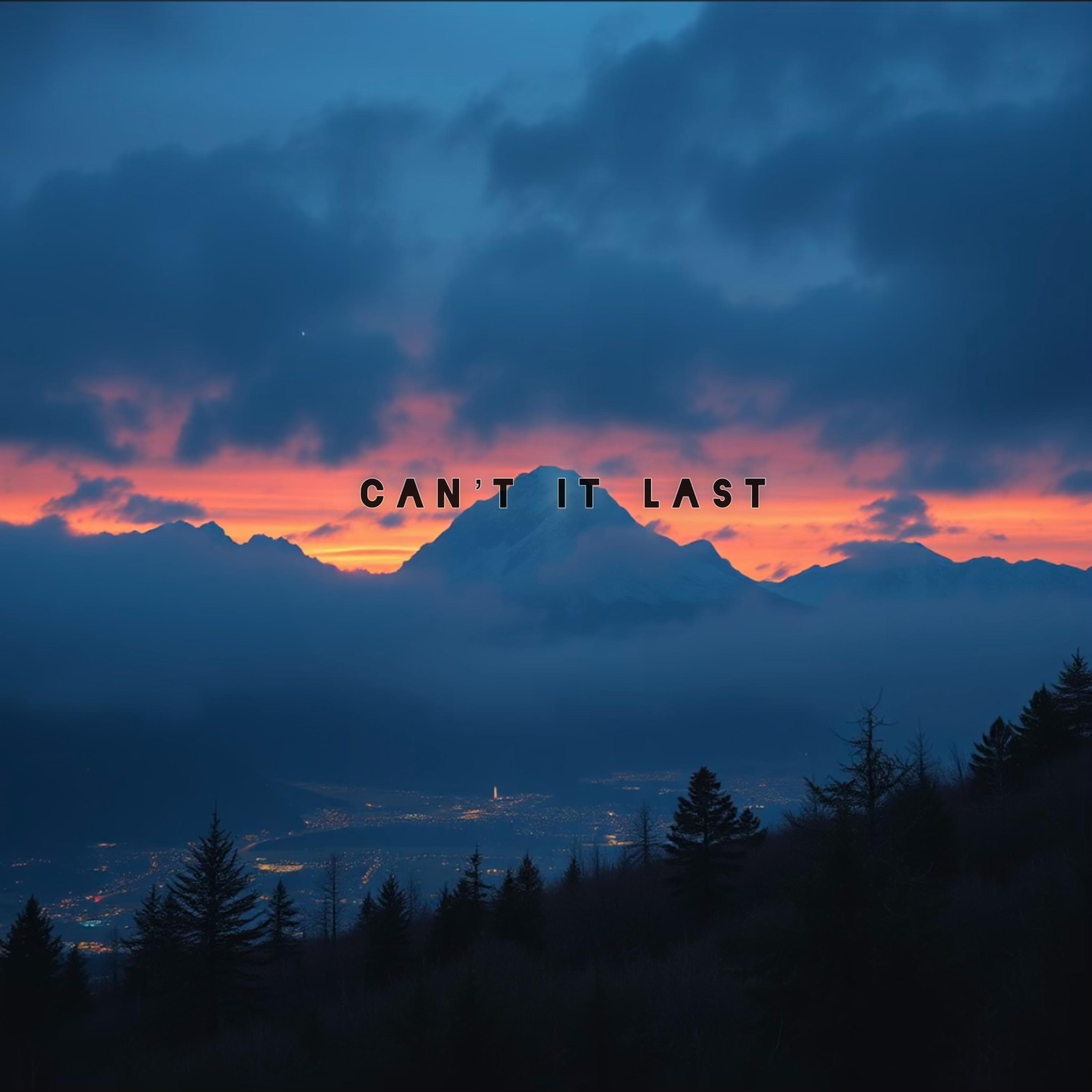 Can’t It Last artwork