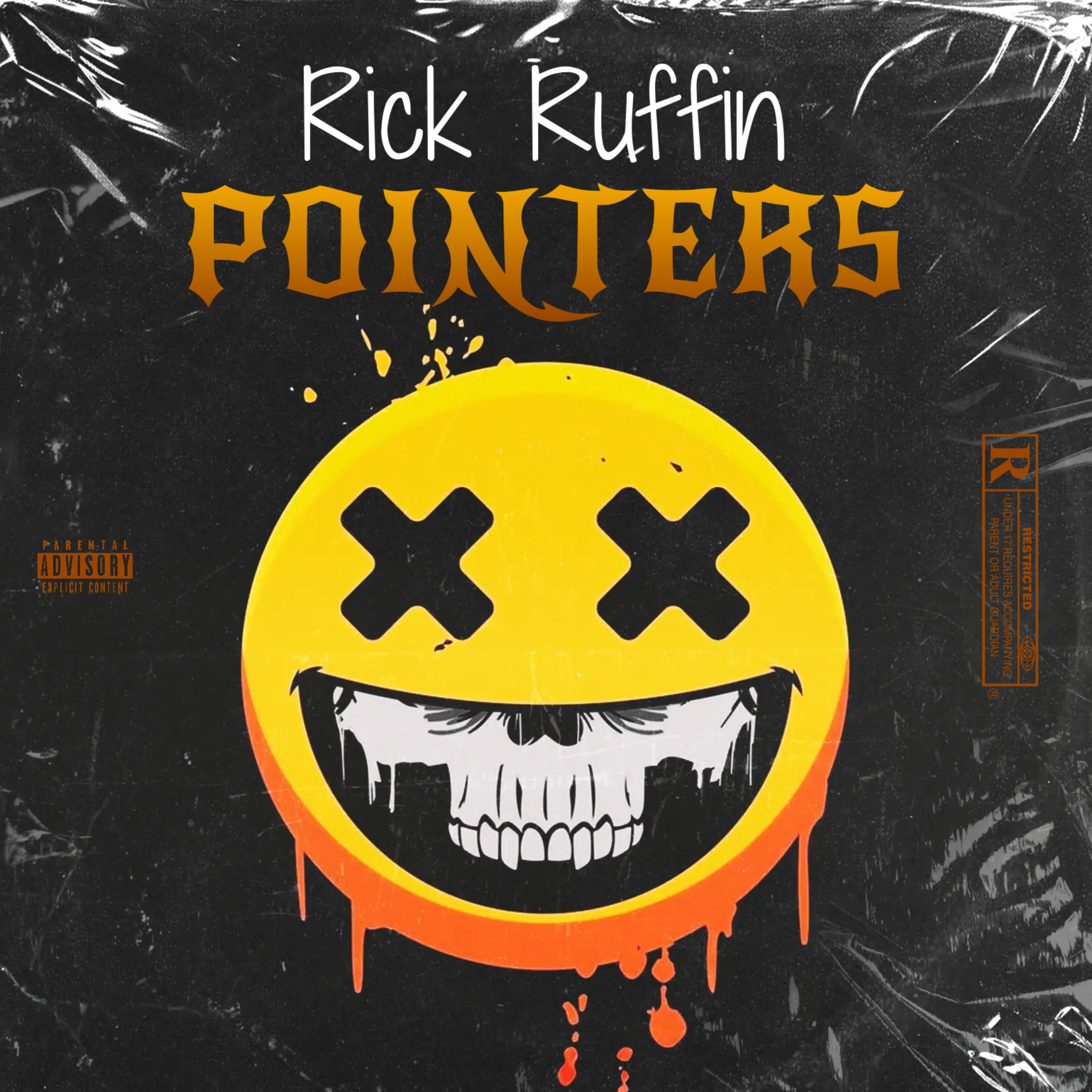 POINTERS by Rick Ruffin cover art