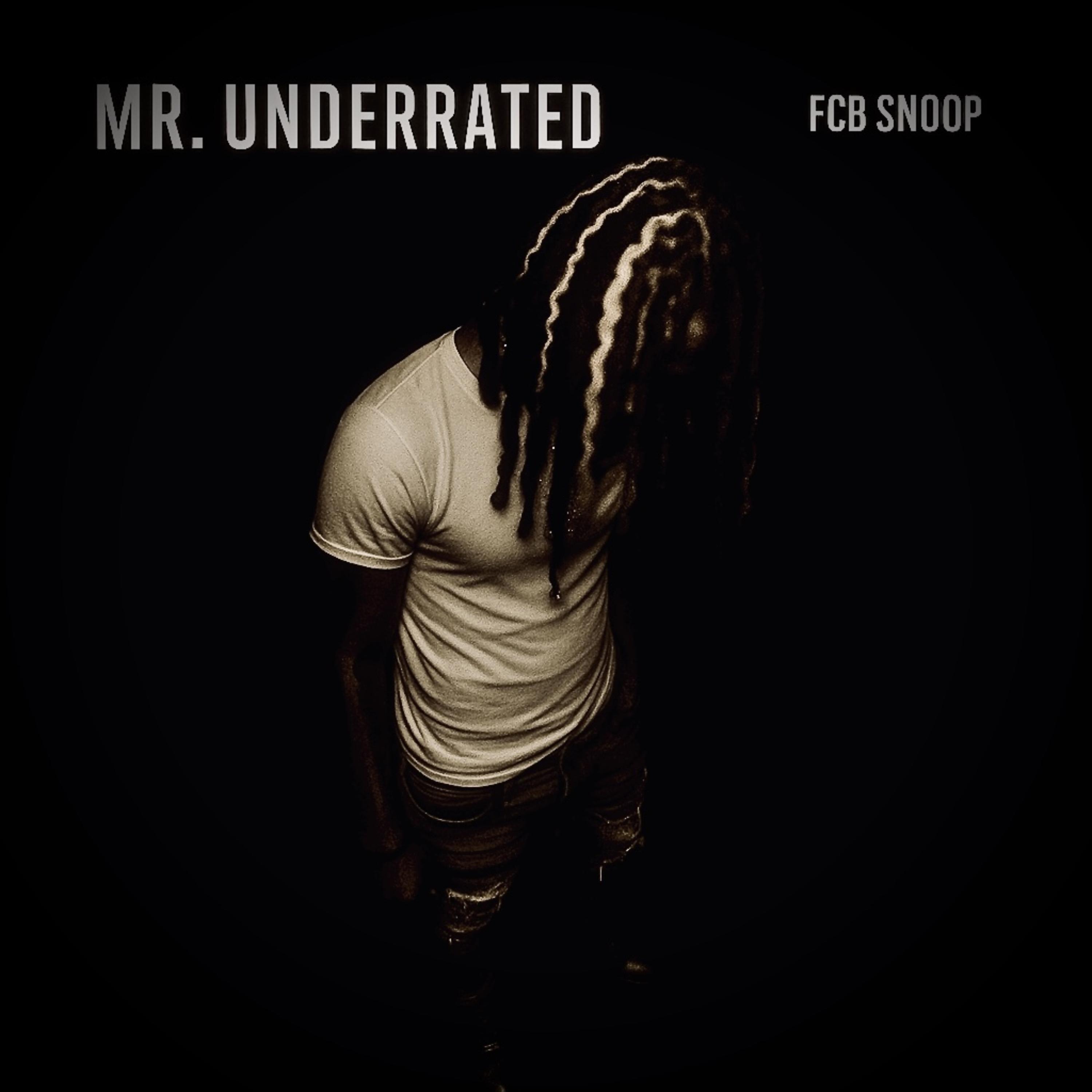 Mr. Underrated artwork