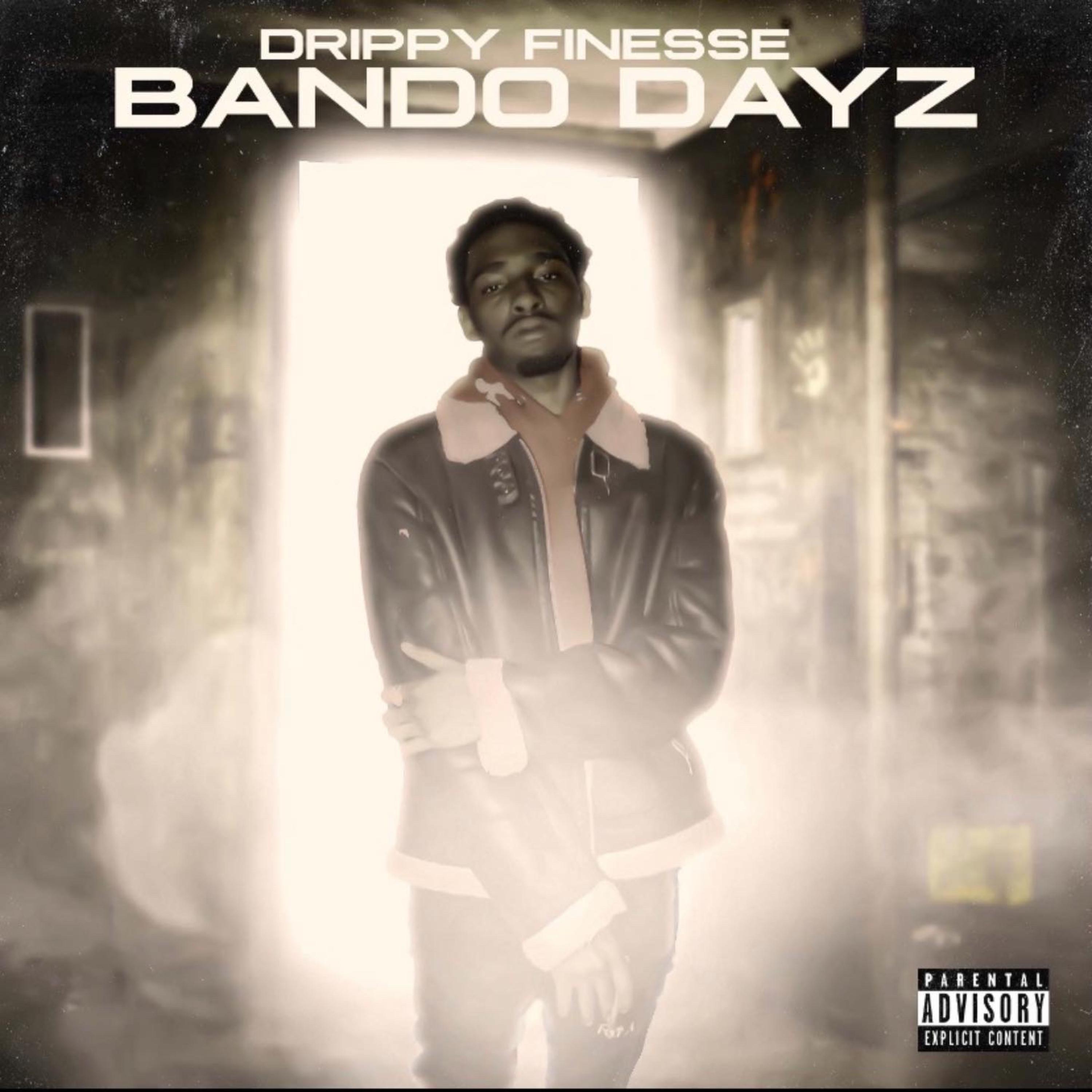 Bando Dayz artwork