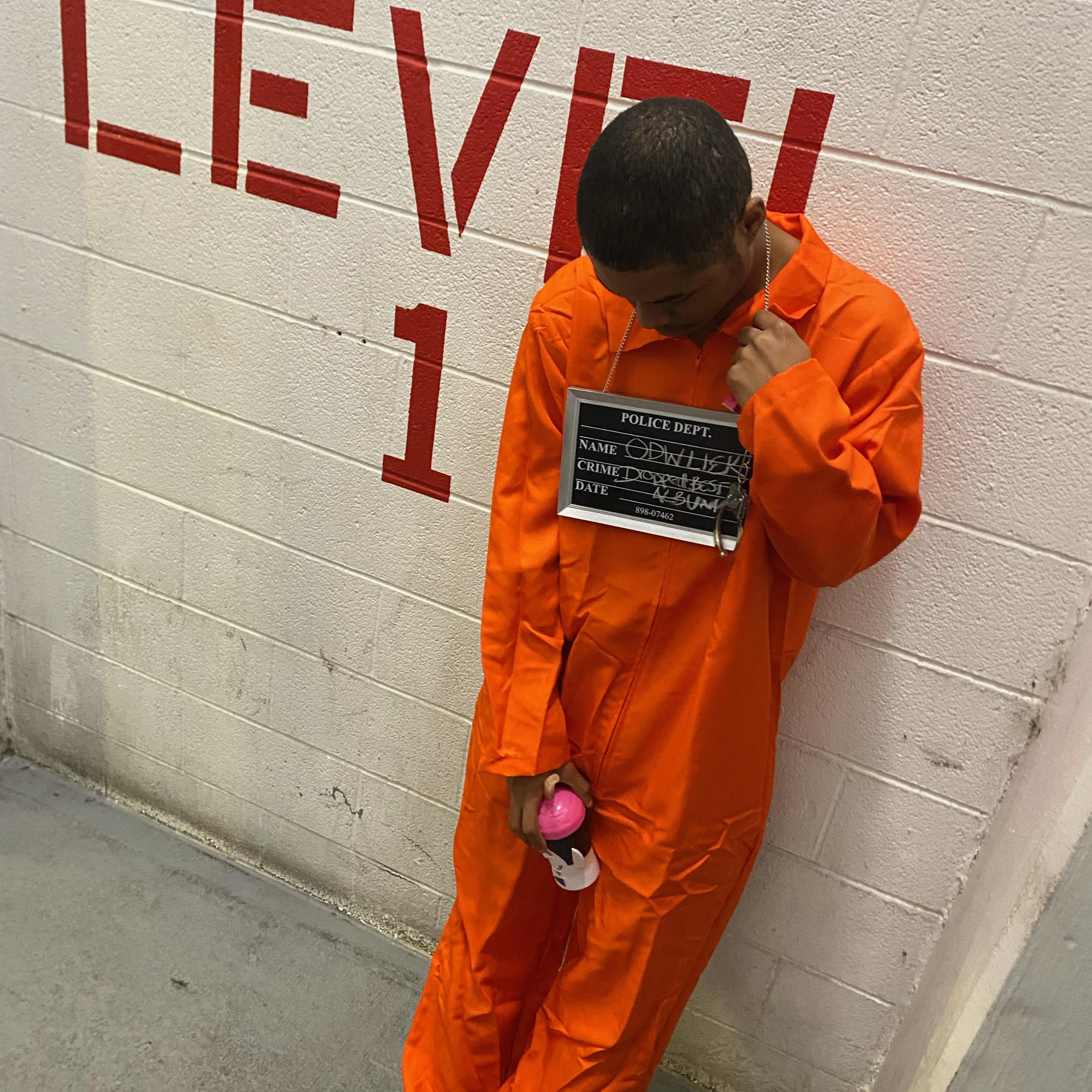 LEVEL 1 artwork