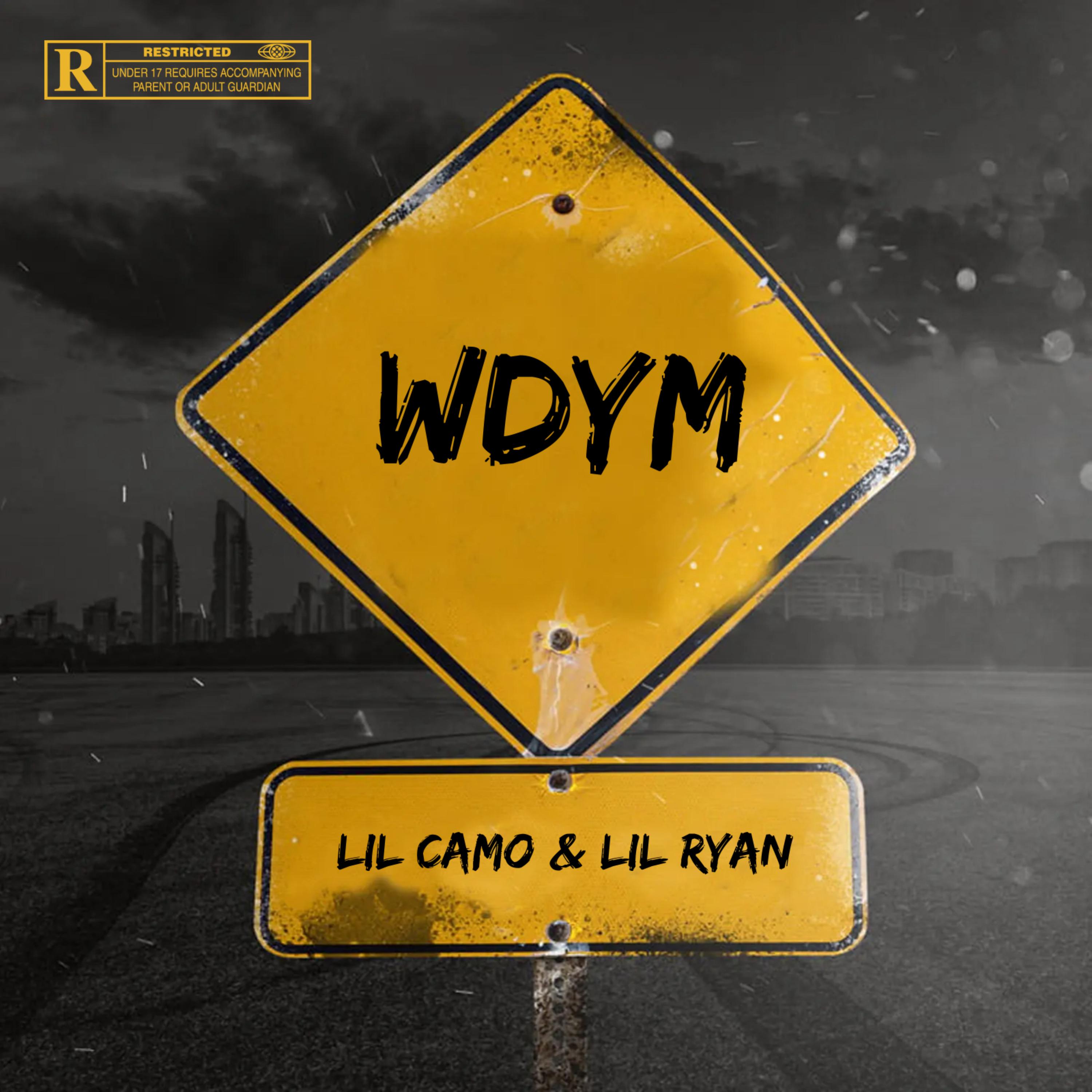 WDYM artwork