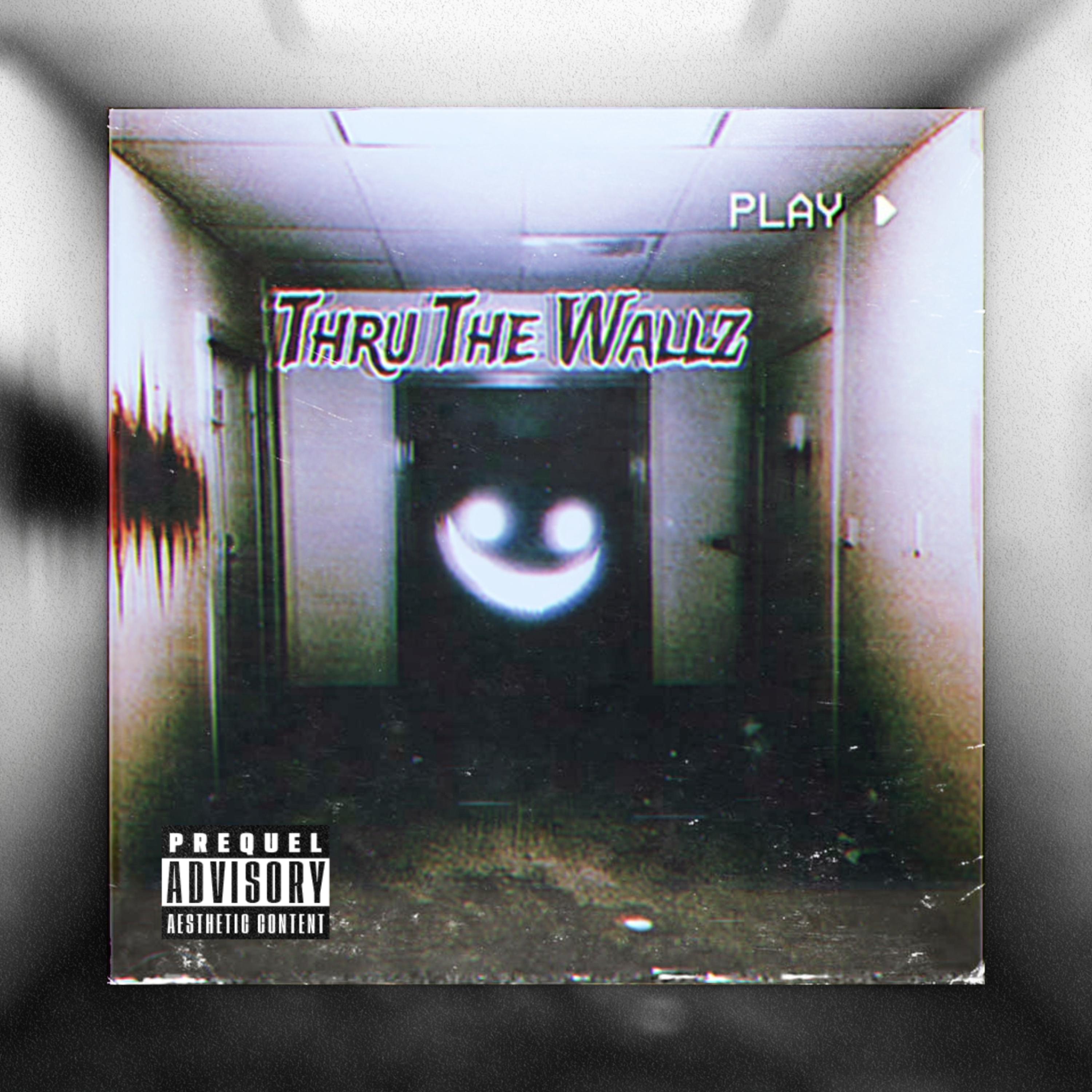 Thru The Wallz artwork