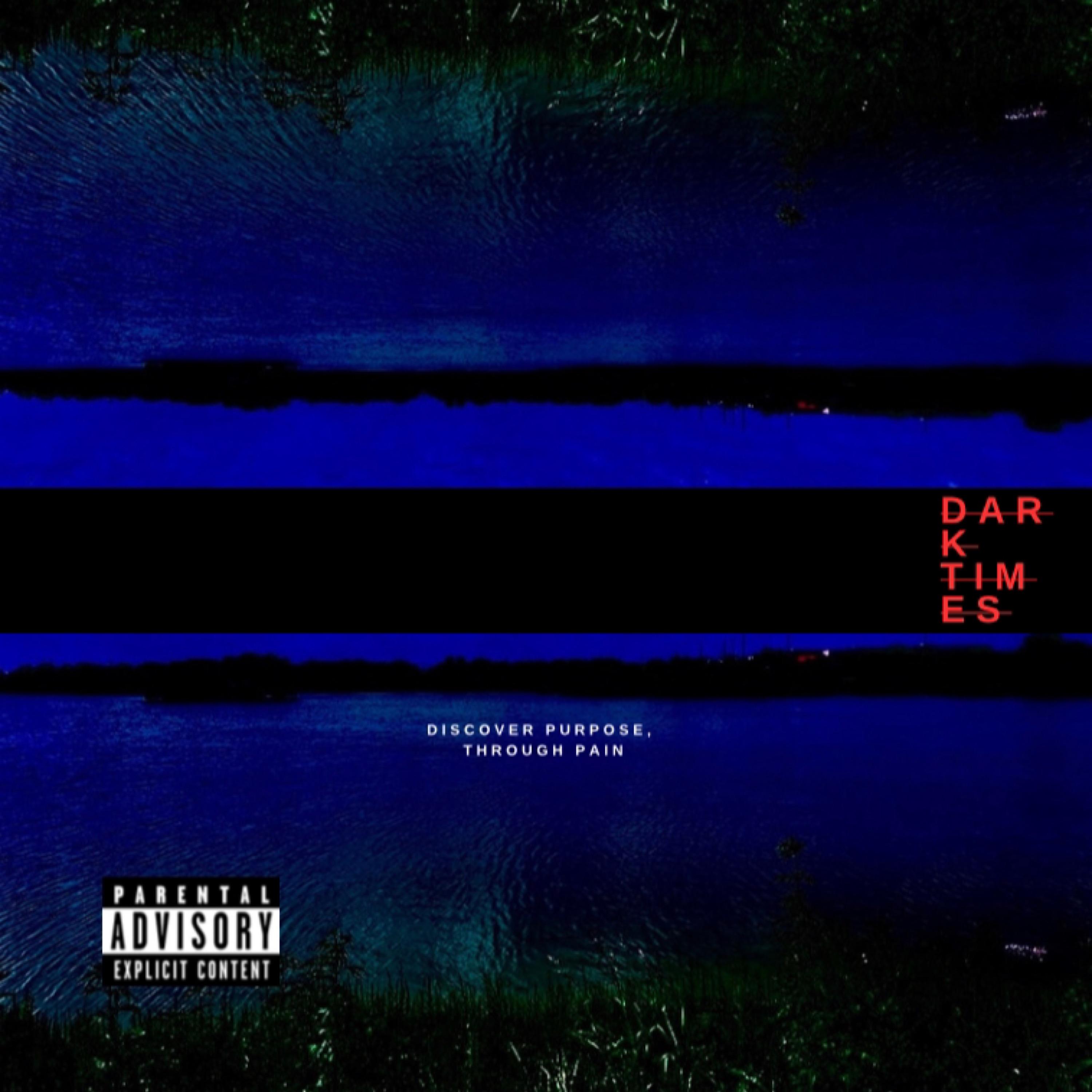 Dark Times artwork