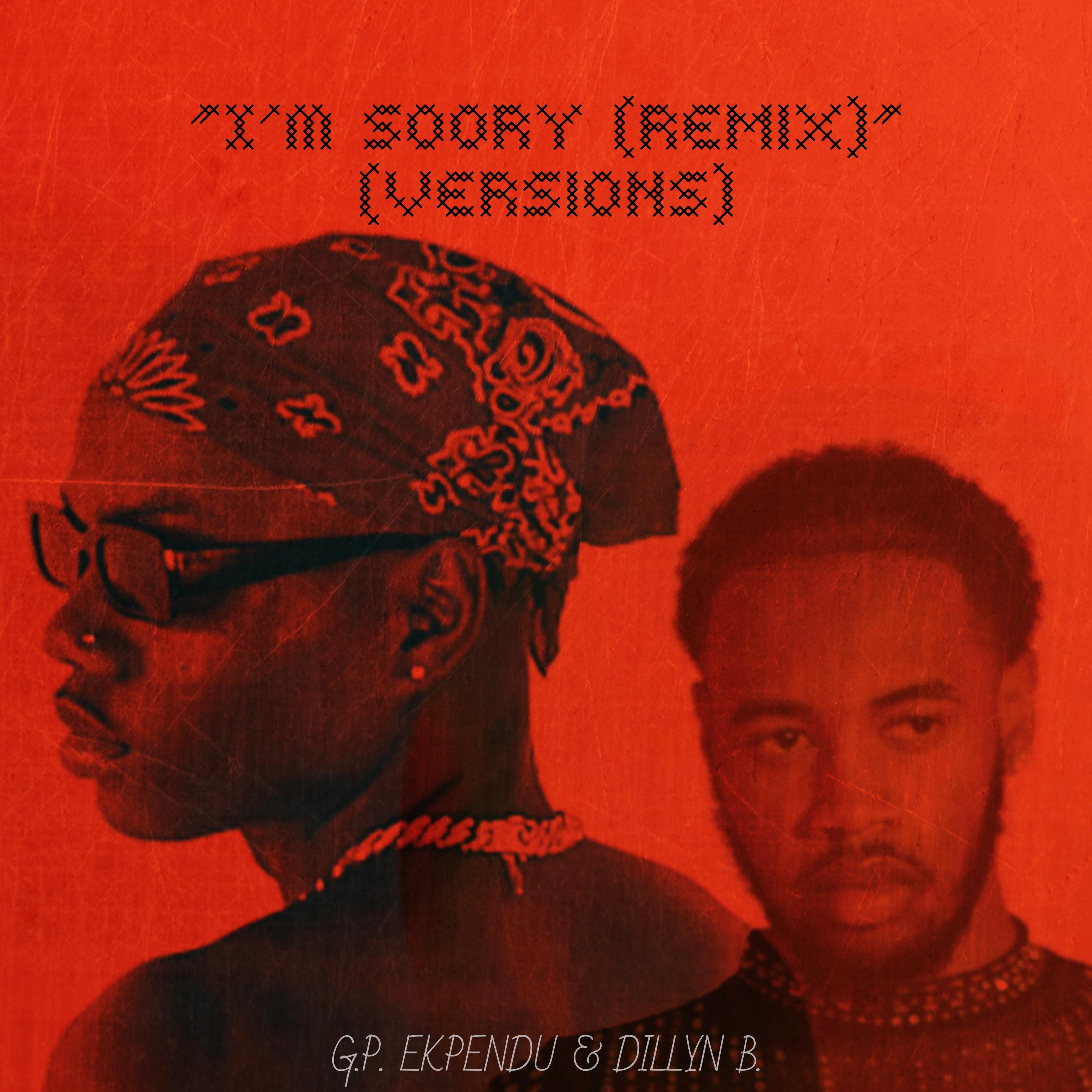 i'm SORRY (REMIX: VERSIONS) artwork