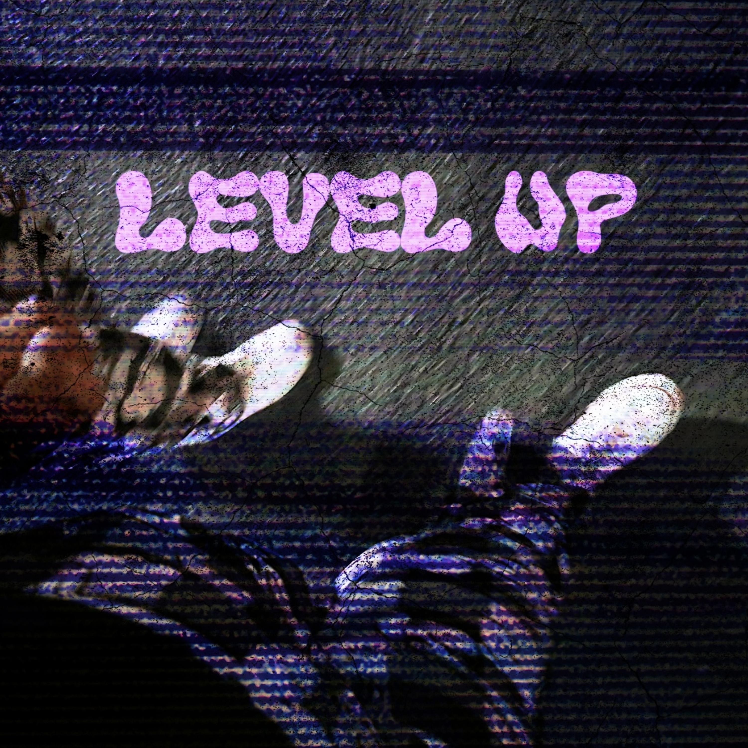 LEVEL UP artwork