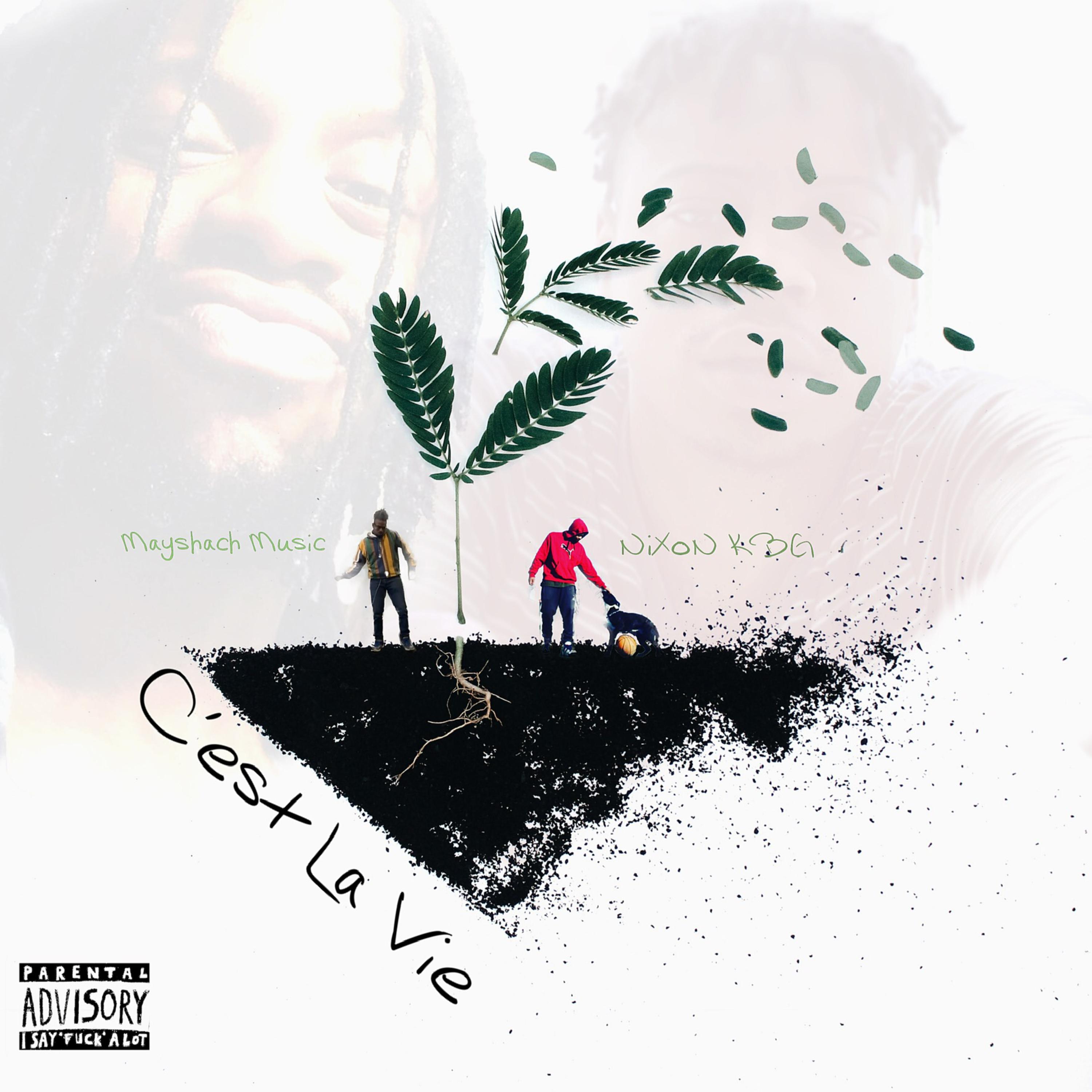 C'est La Vie artwork