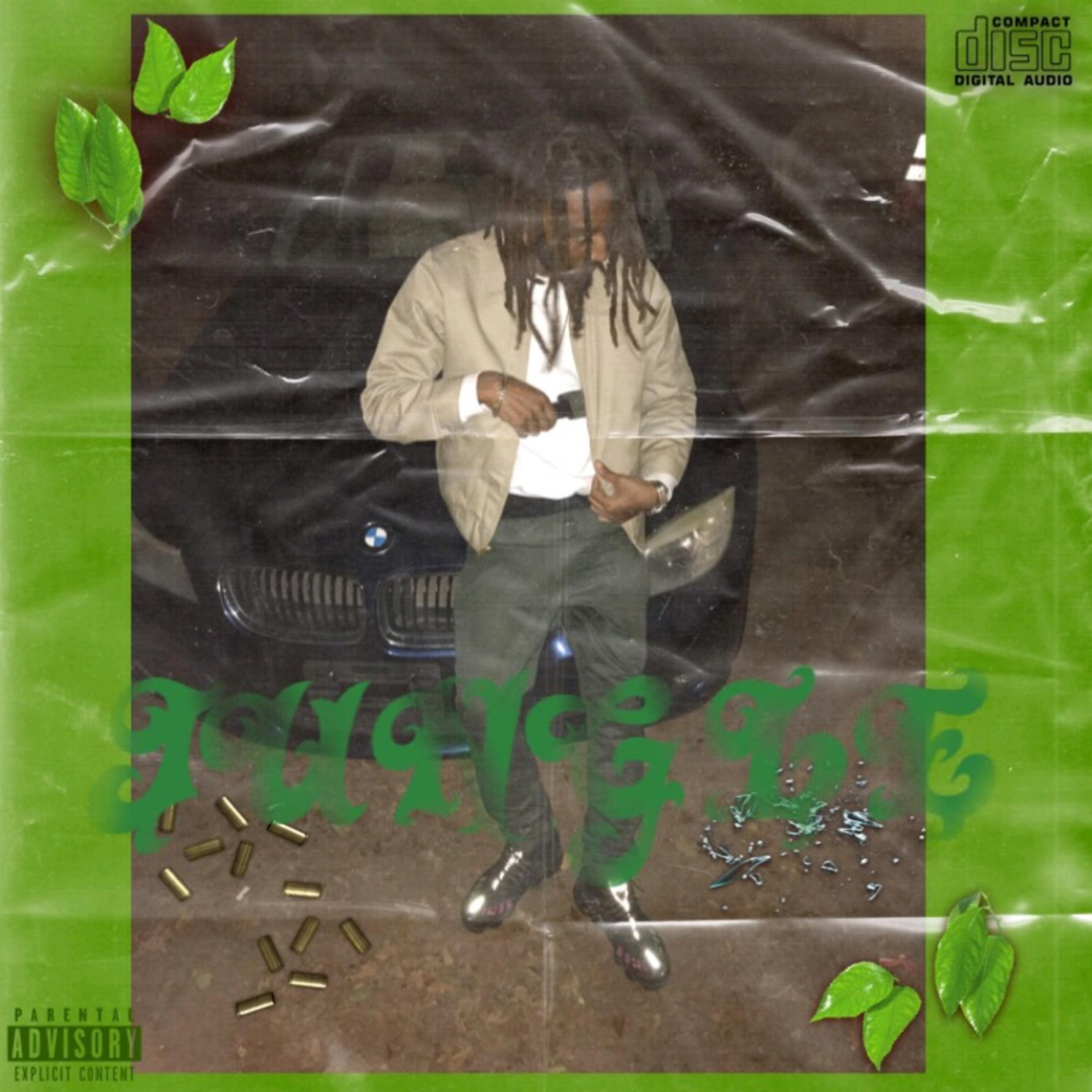 JUNGLE artwork