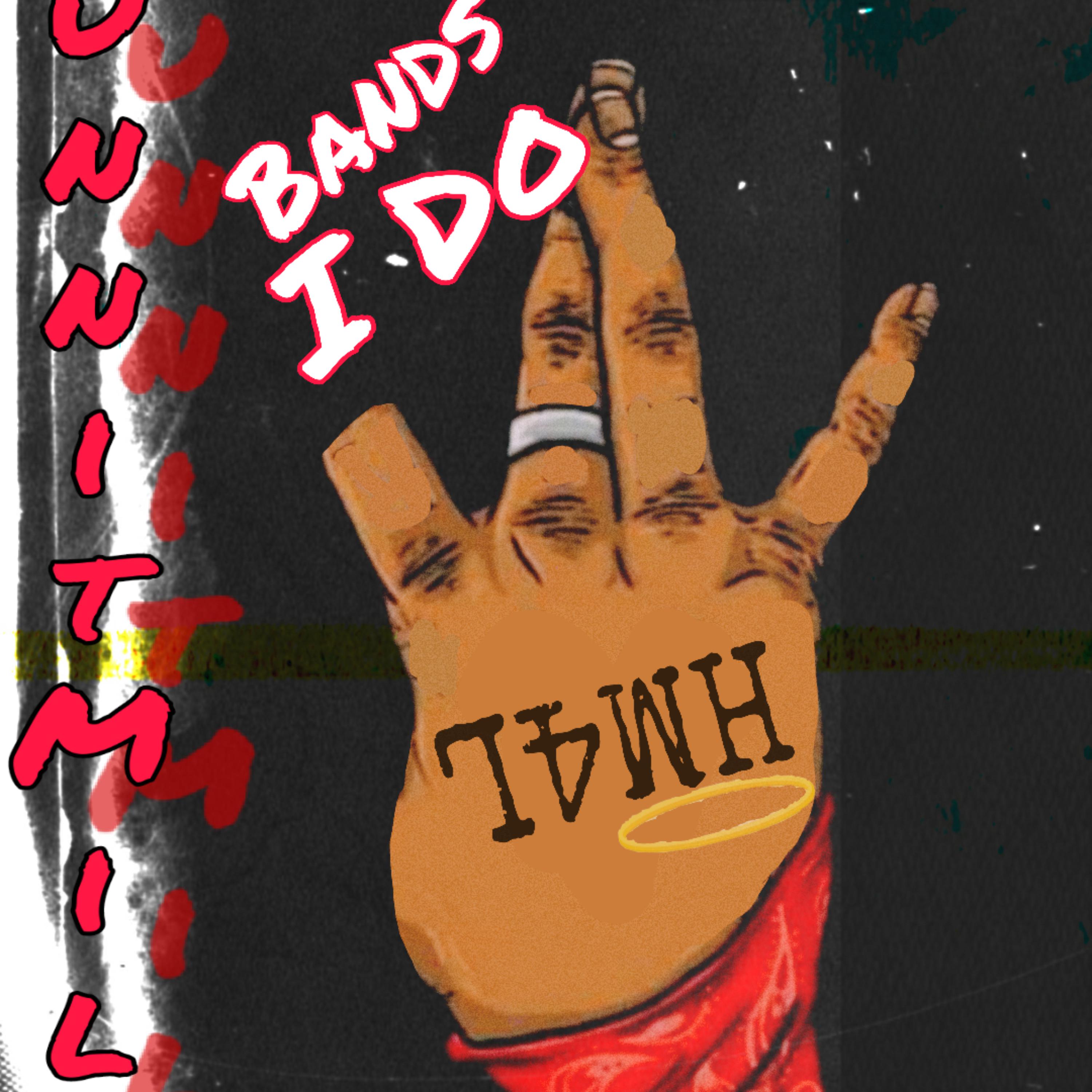 I Do Shoot! artwork