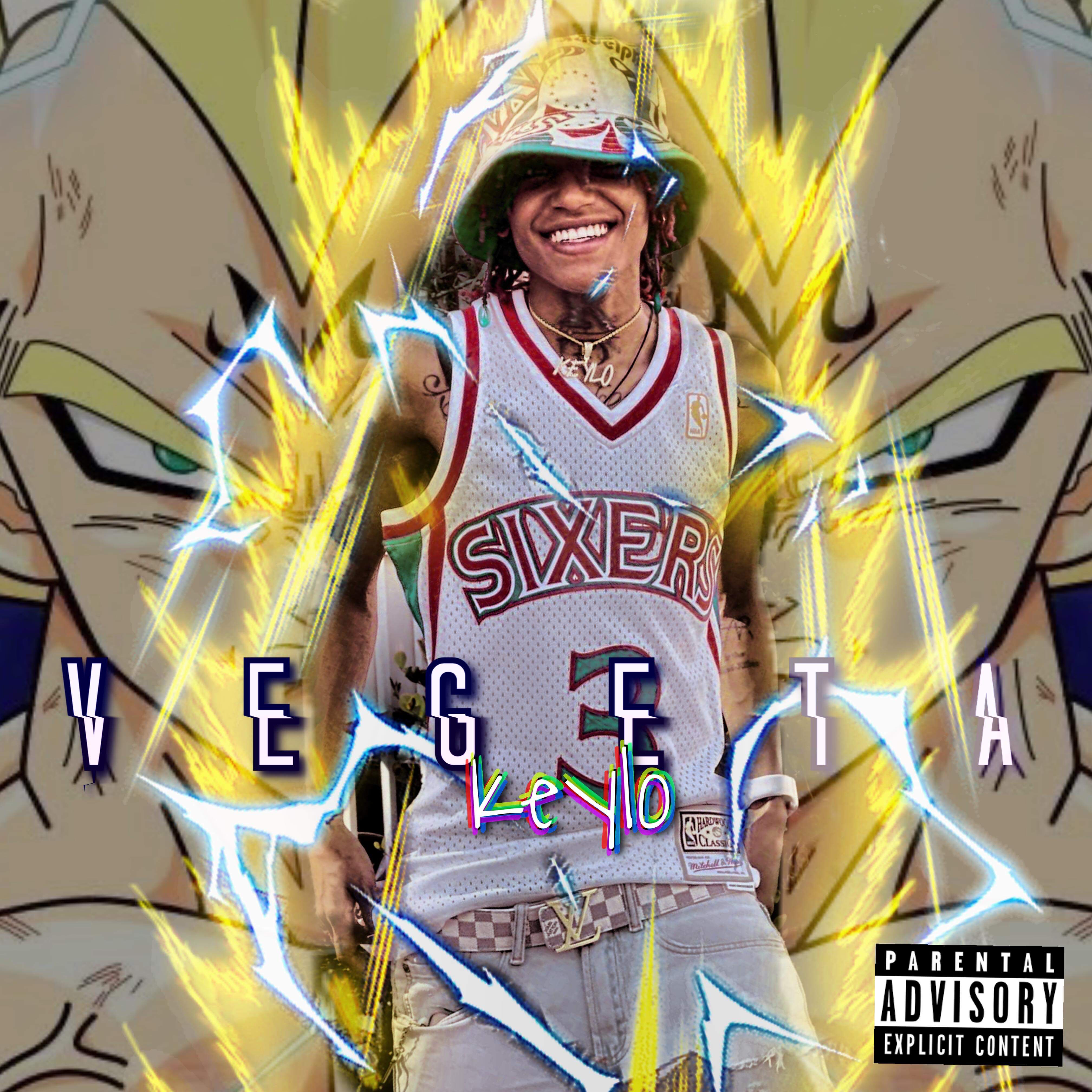 Vegeta artwork