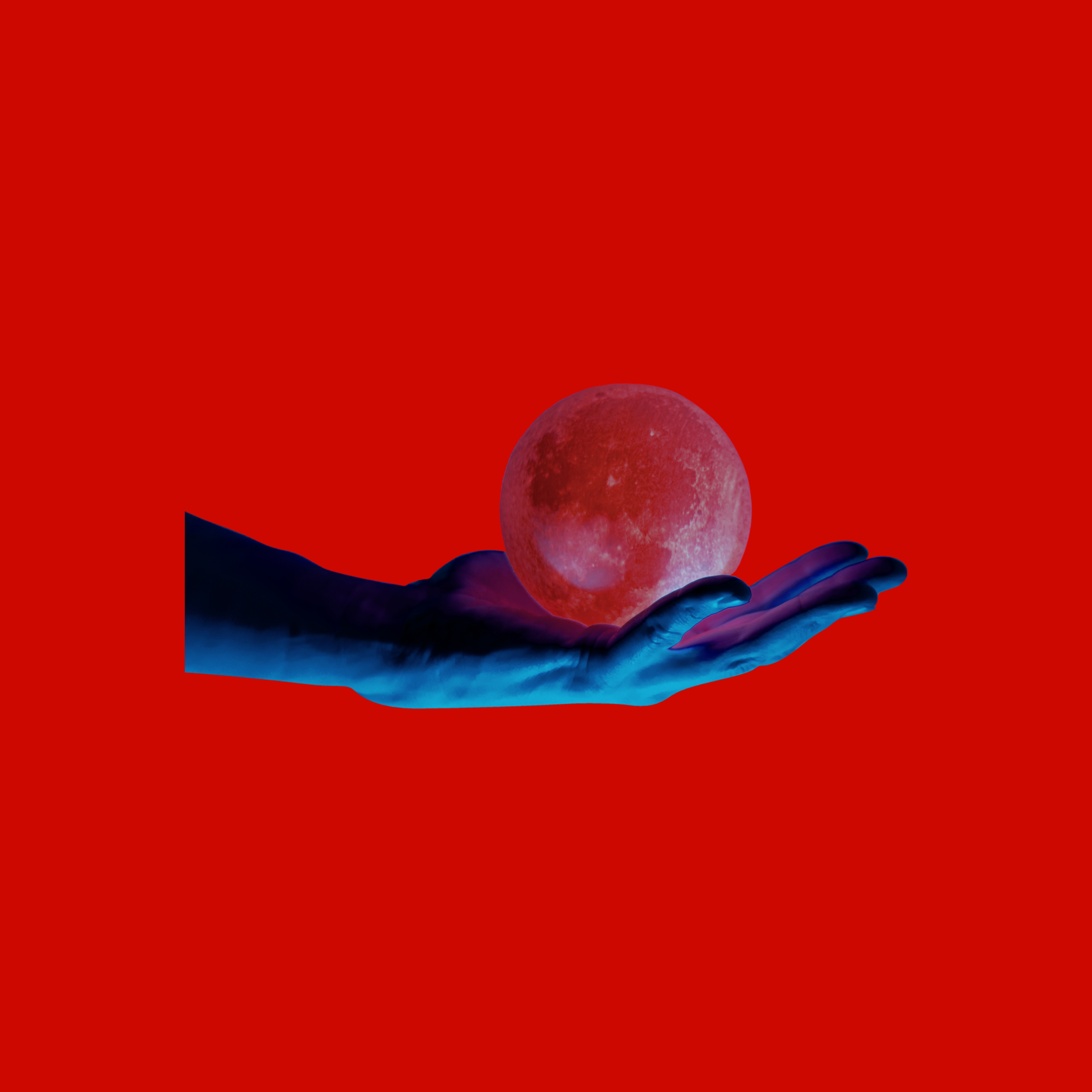 Views by Whoistwiggie cover art