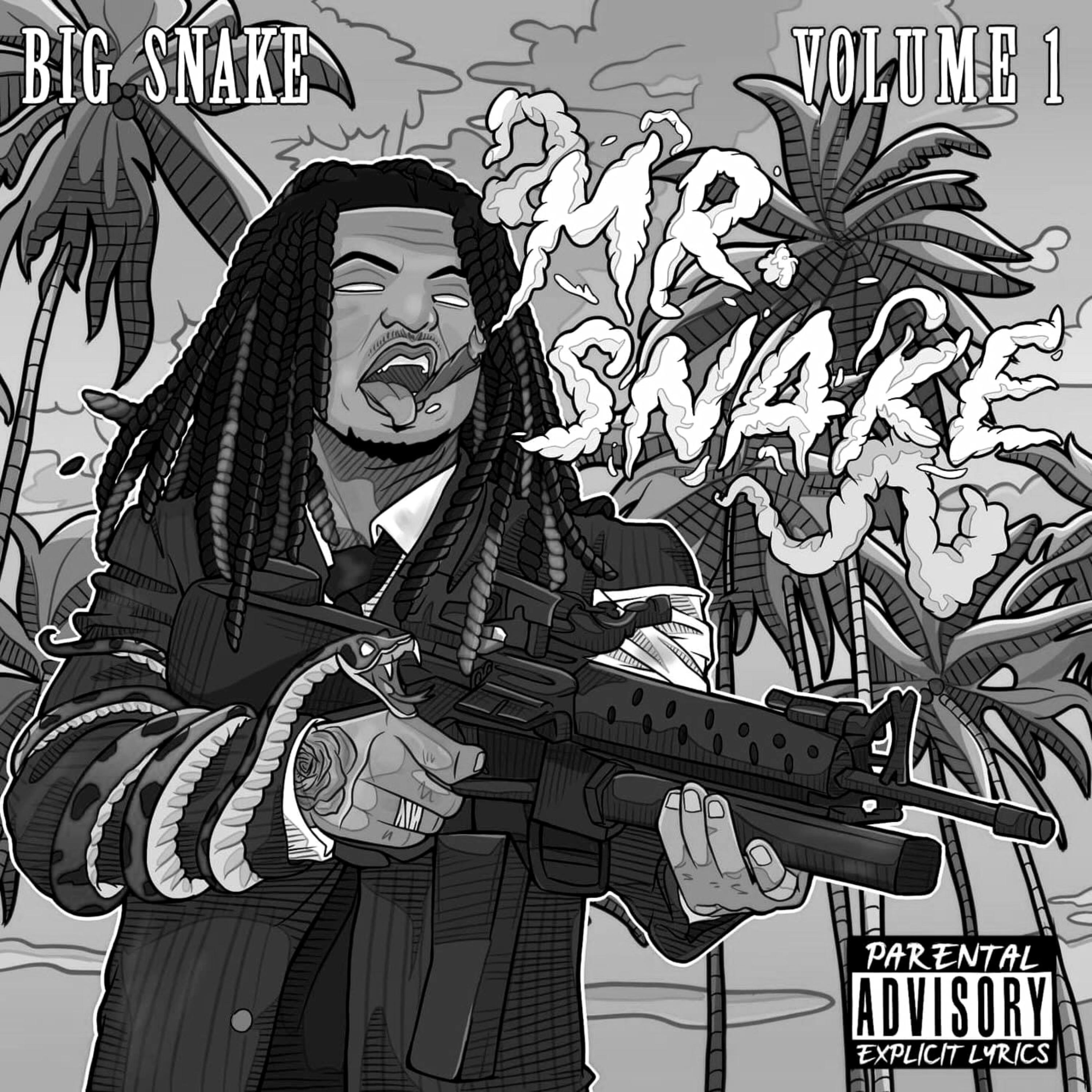 Mr.Snake, Vol. 1 (Deluxe) by Big Snake cover art