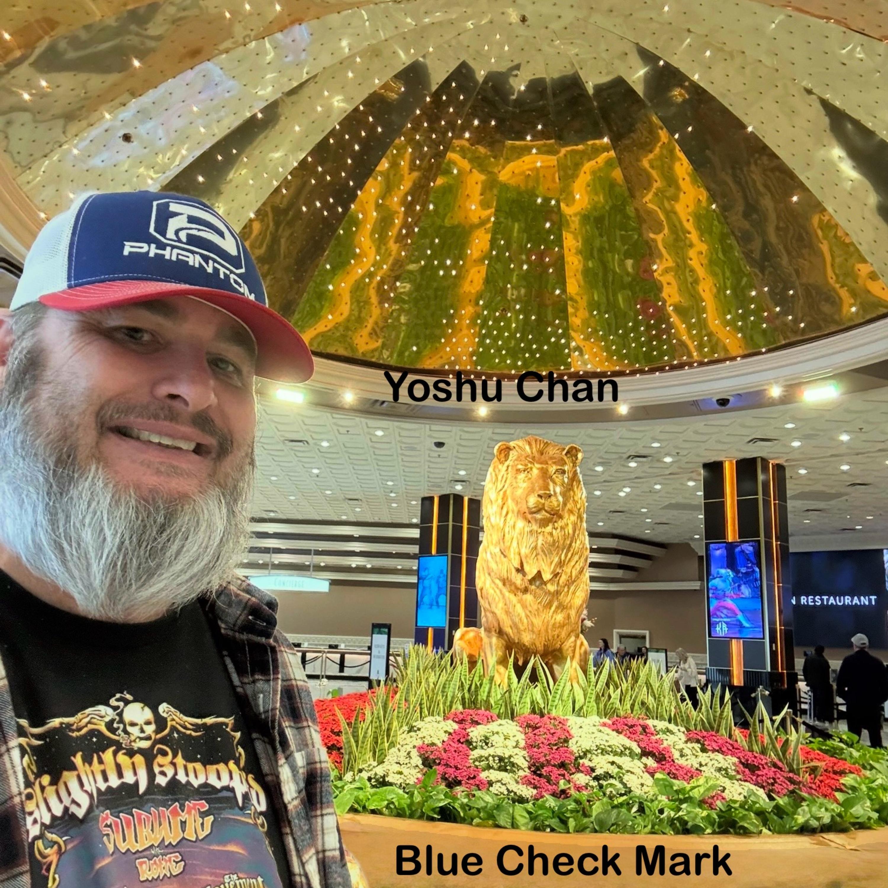 Blue Check Mark artwork