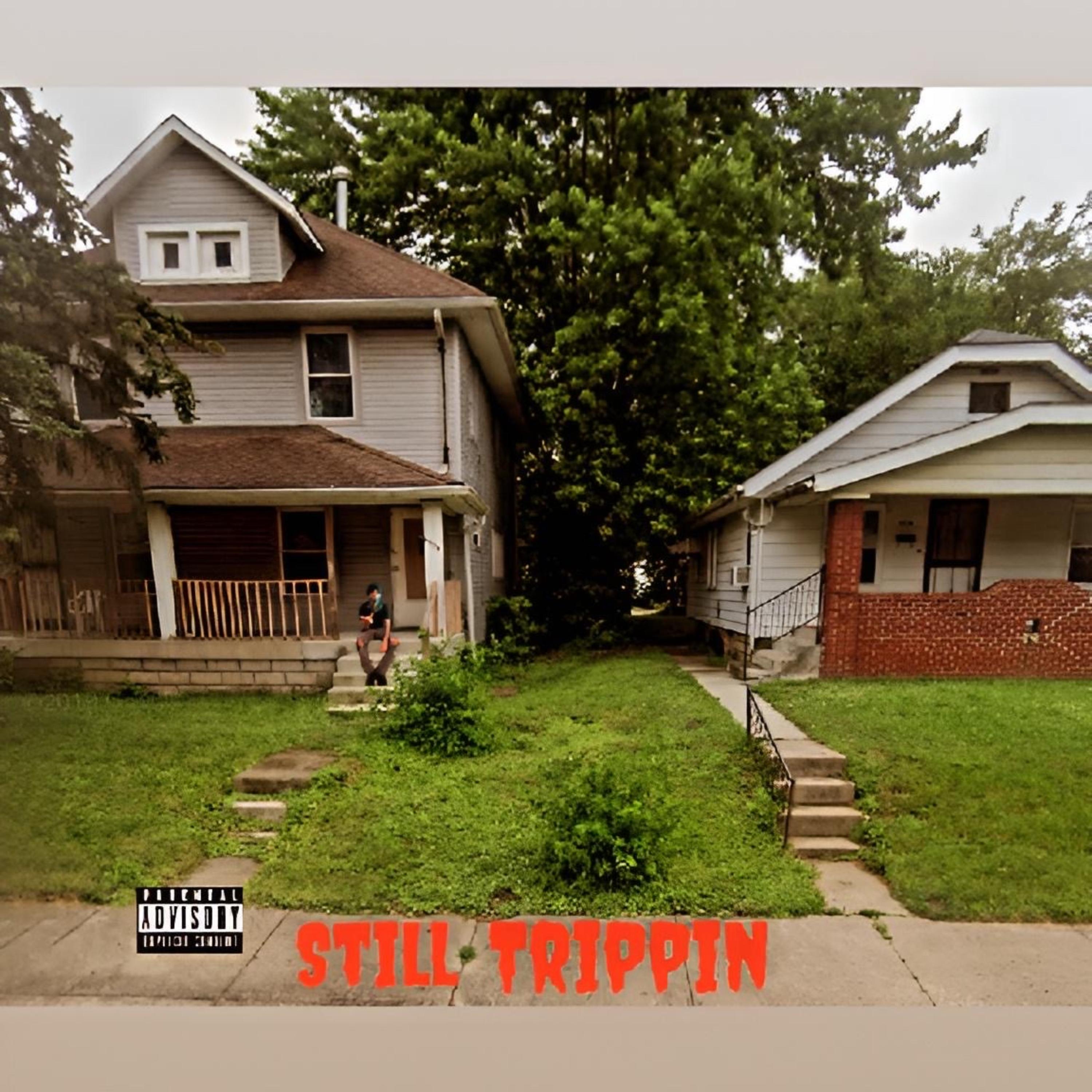 Still Trippin artwork