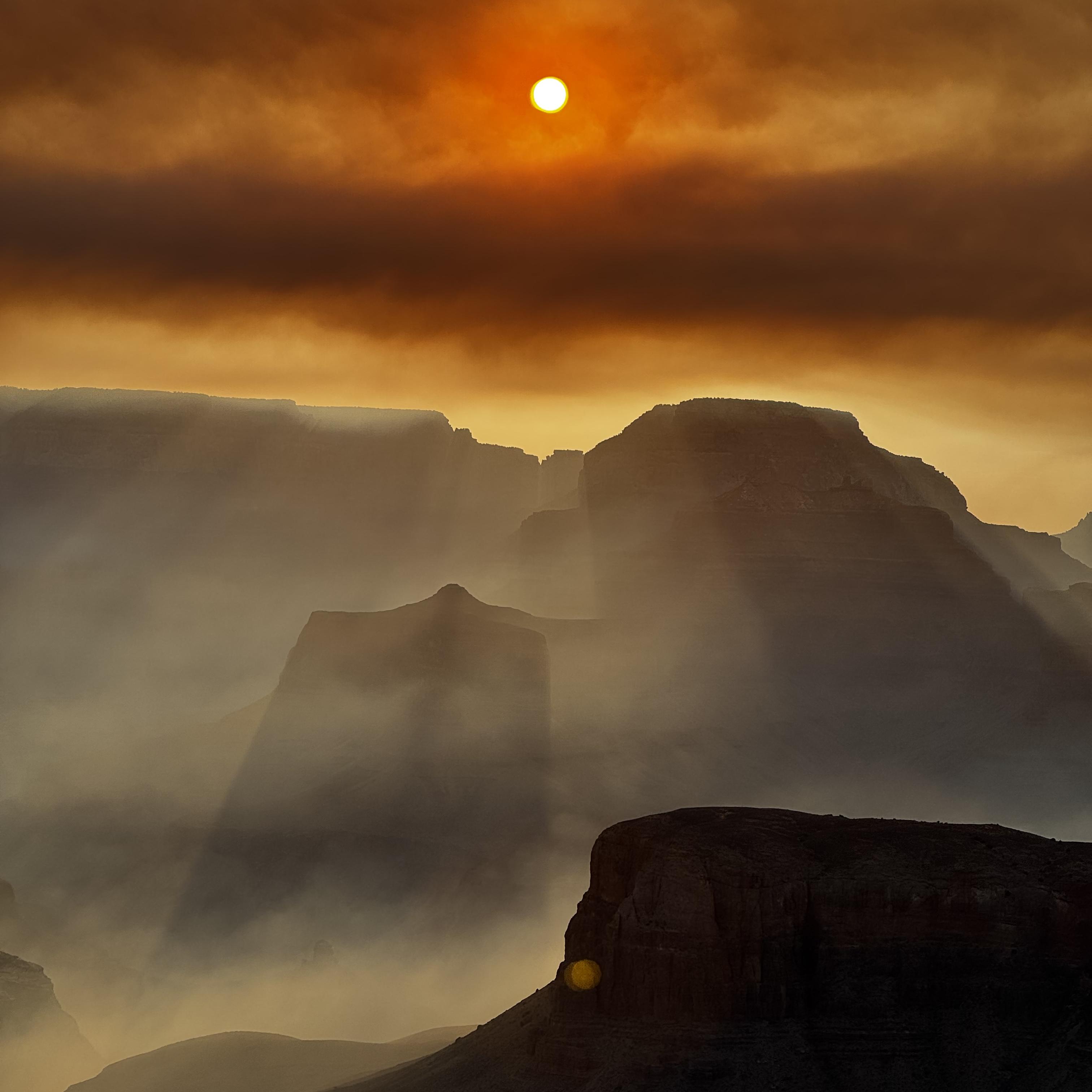 Between The Deluge And Decree artwork