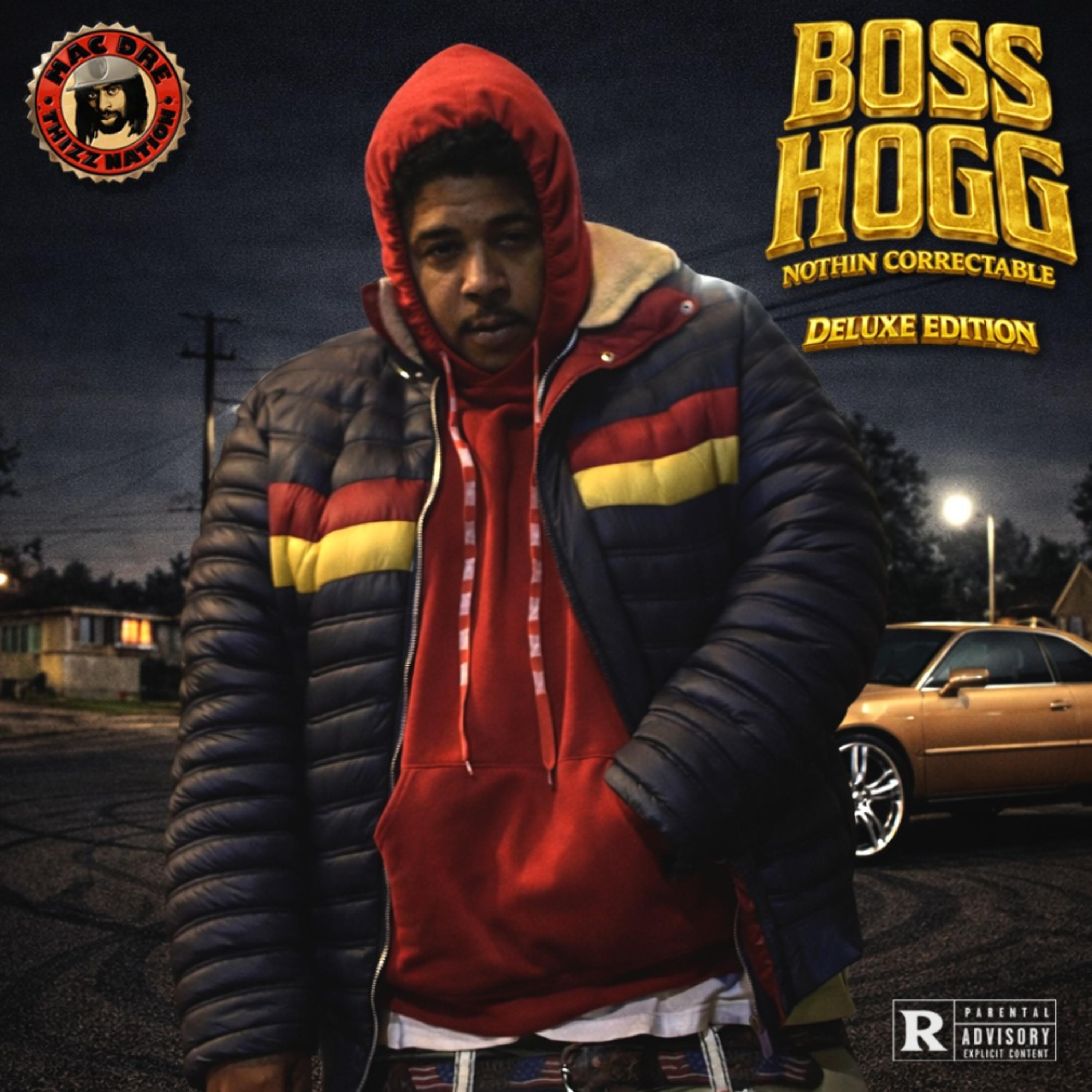 Nothing Correctable: Deluxe Edition artwork