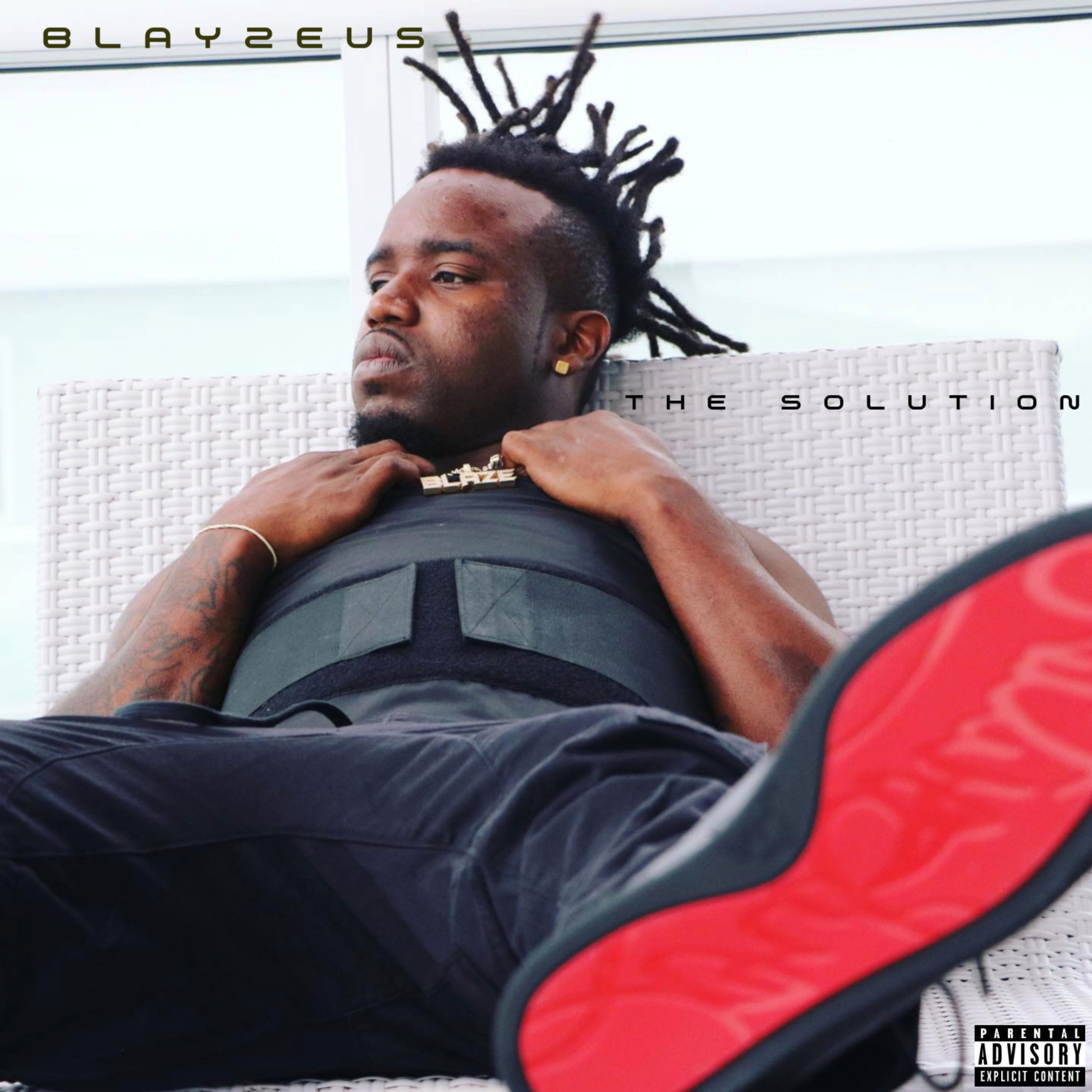 The Solution by Blayzeus cover art