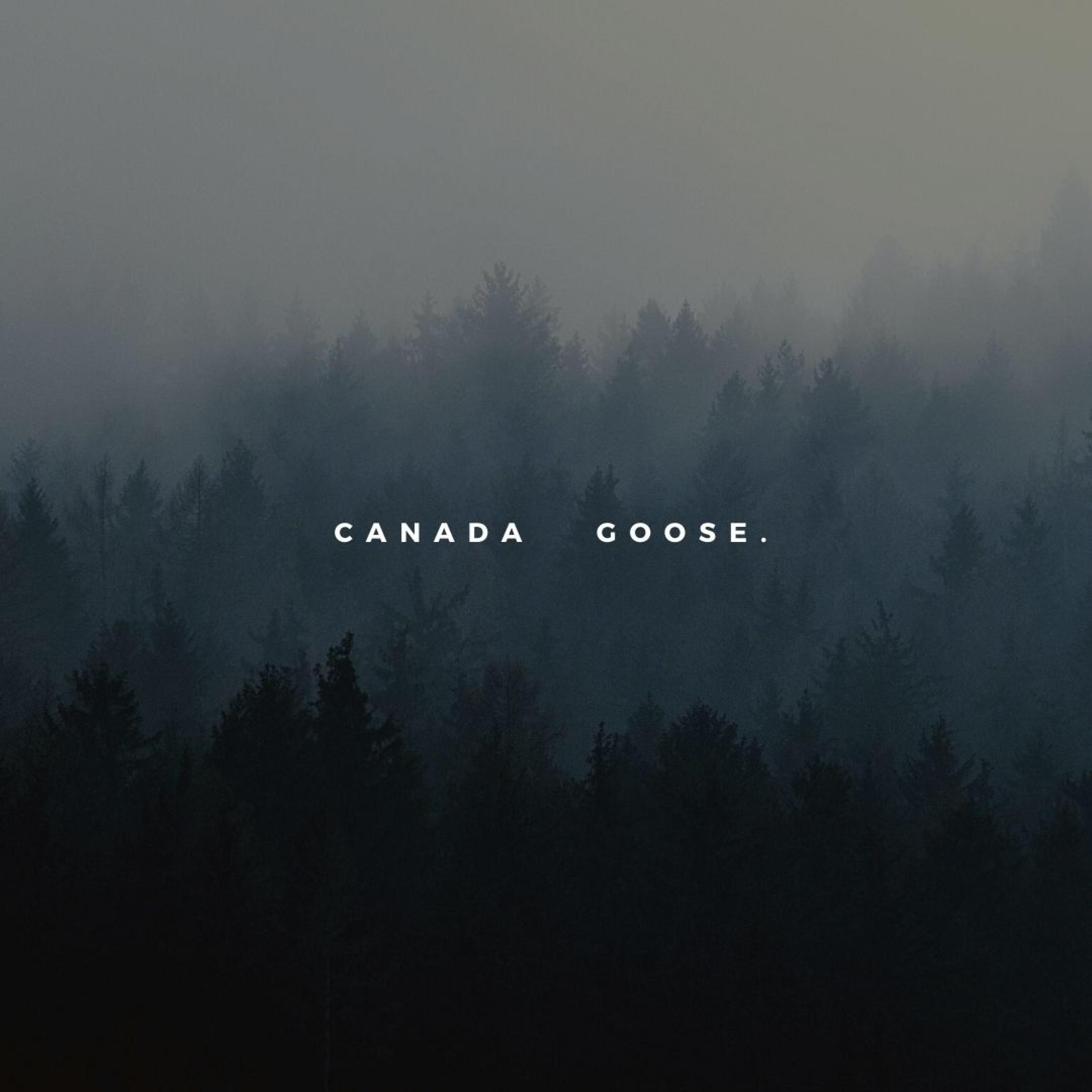 Canada Goose artwork