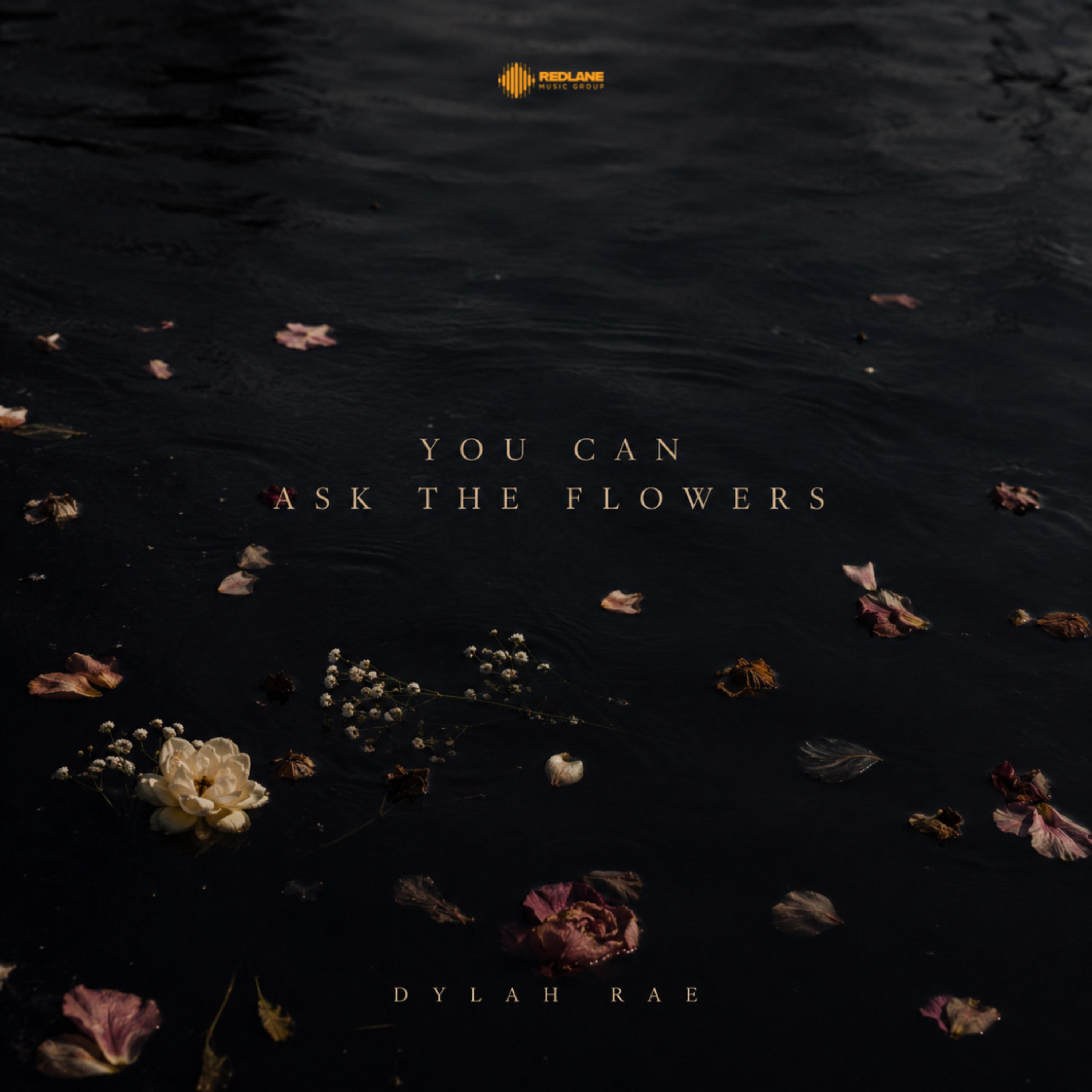 You Can Ask The Flowers by Dylah Rae cover art