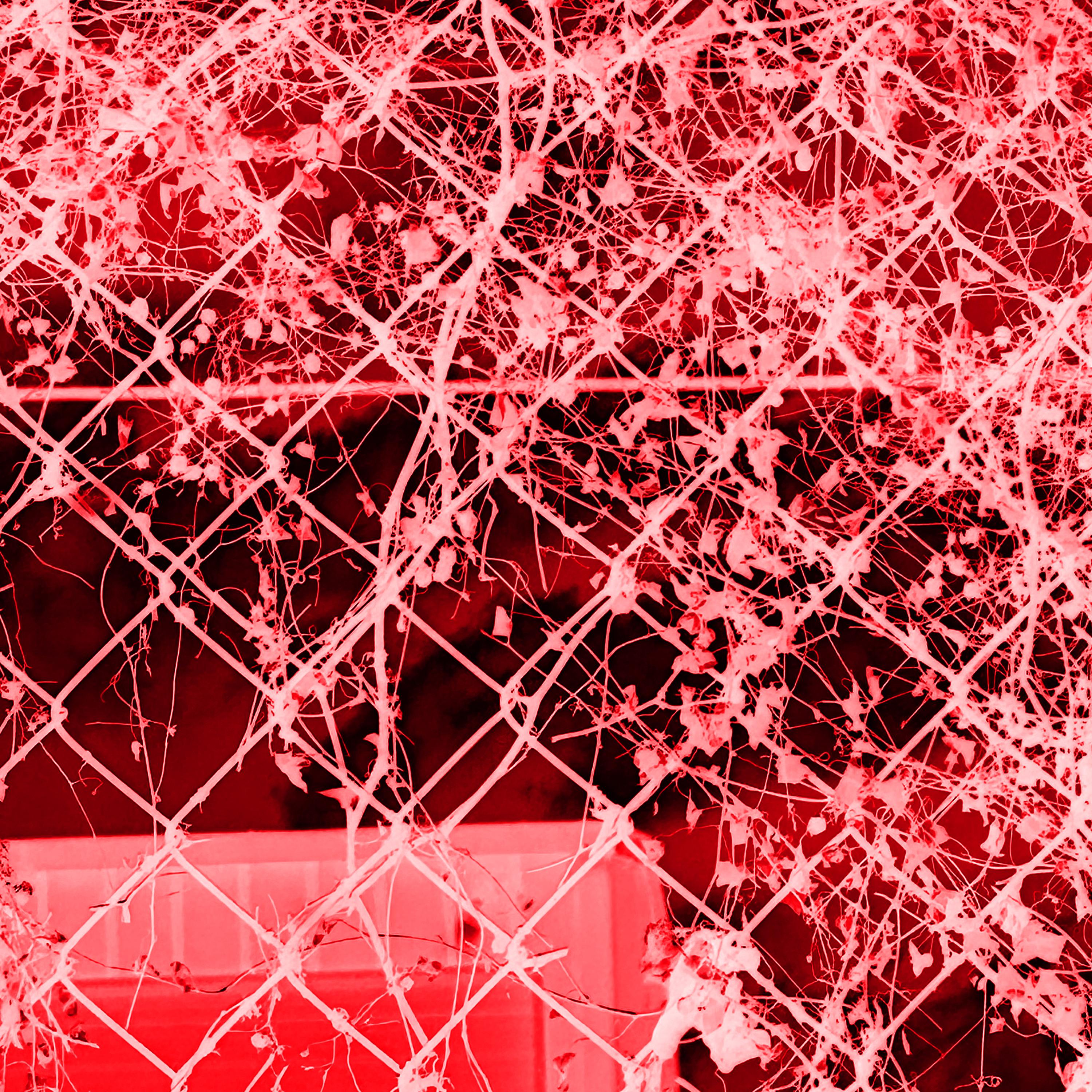 Money Biome 4 artwork