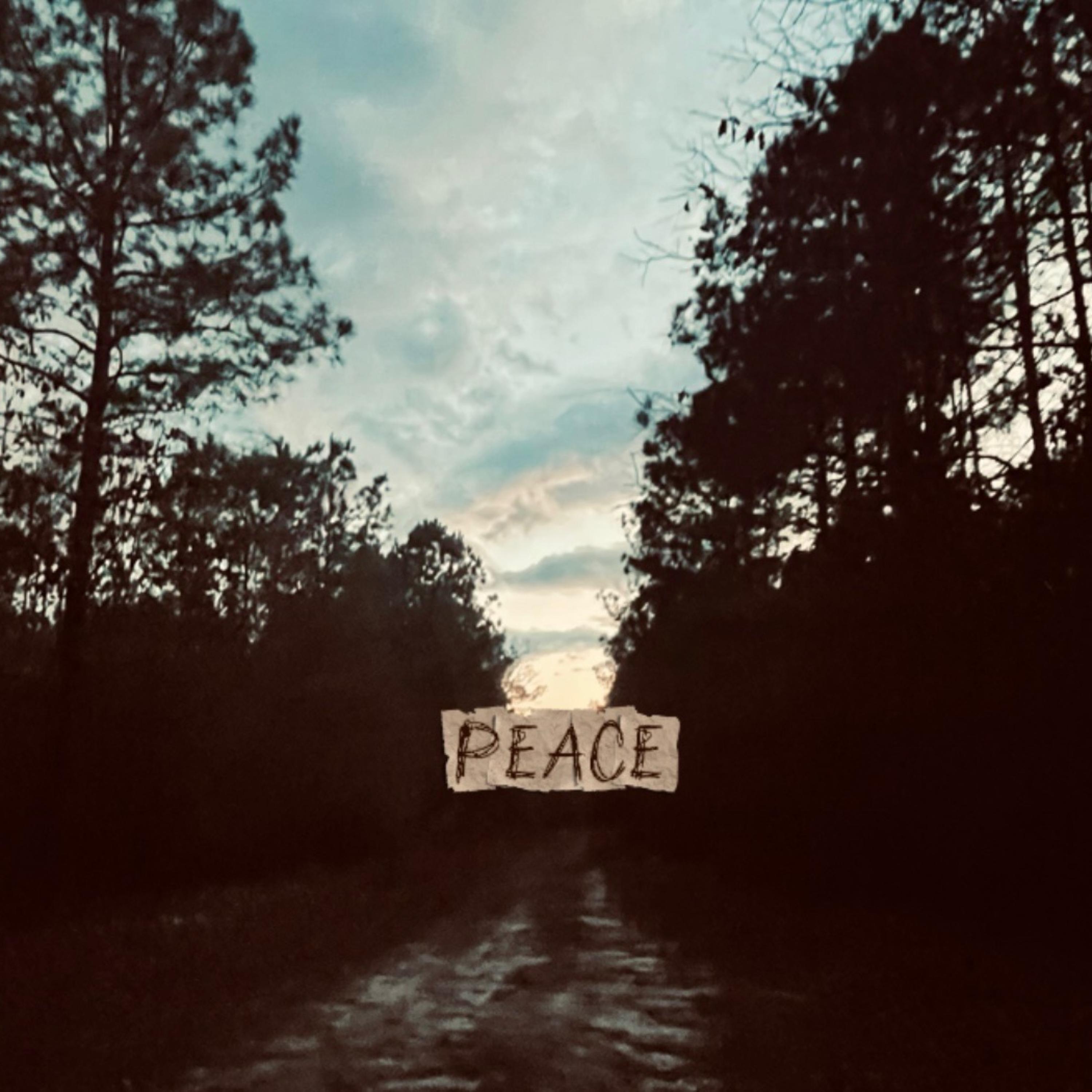 PEACE artwork