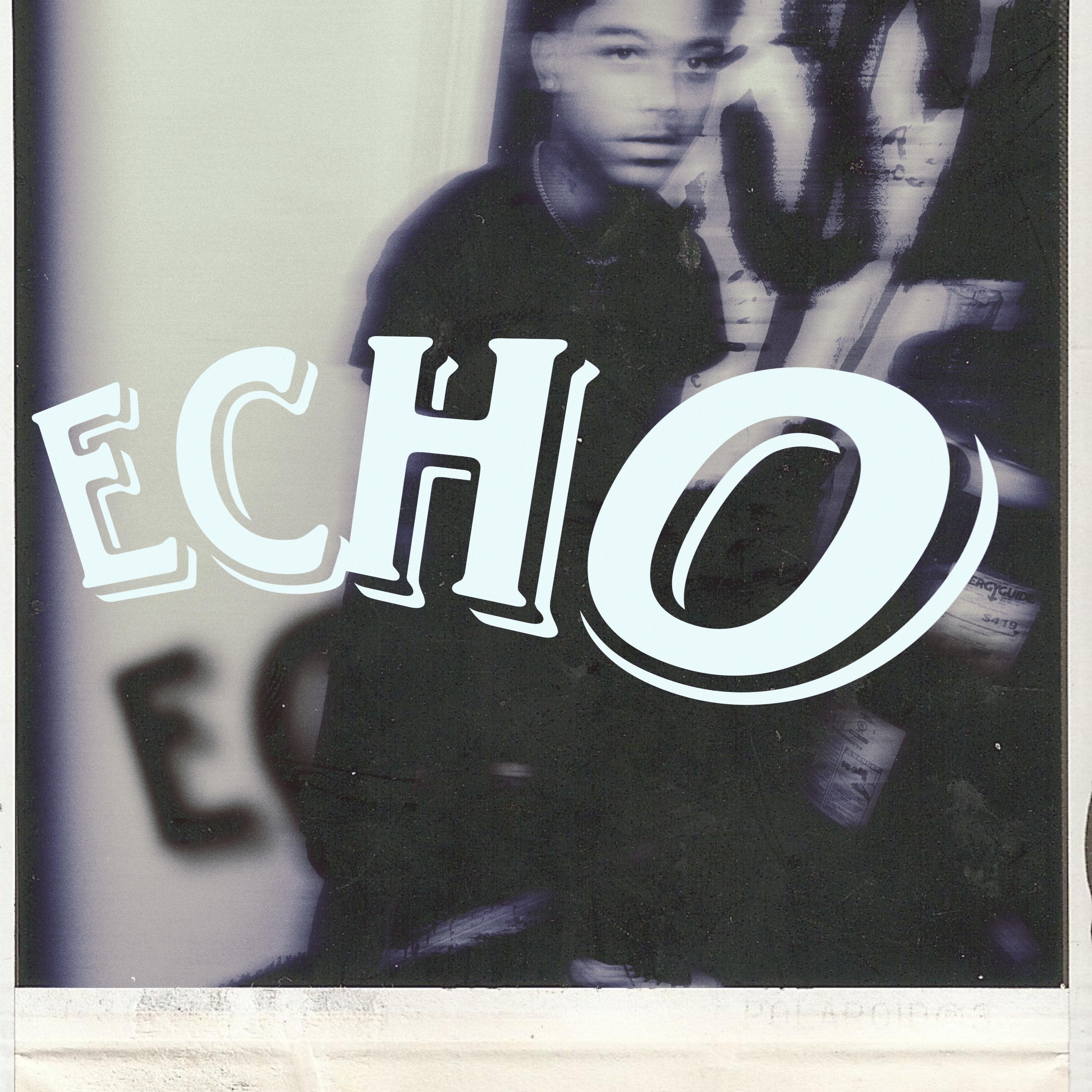 ECHO artwork