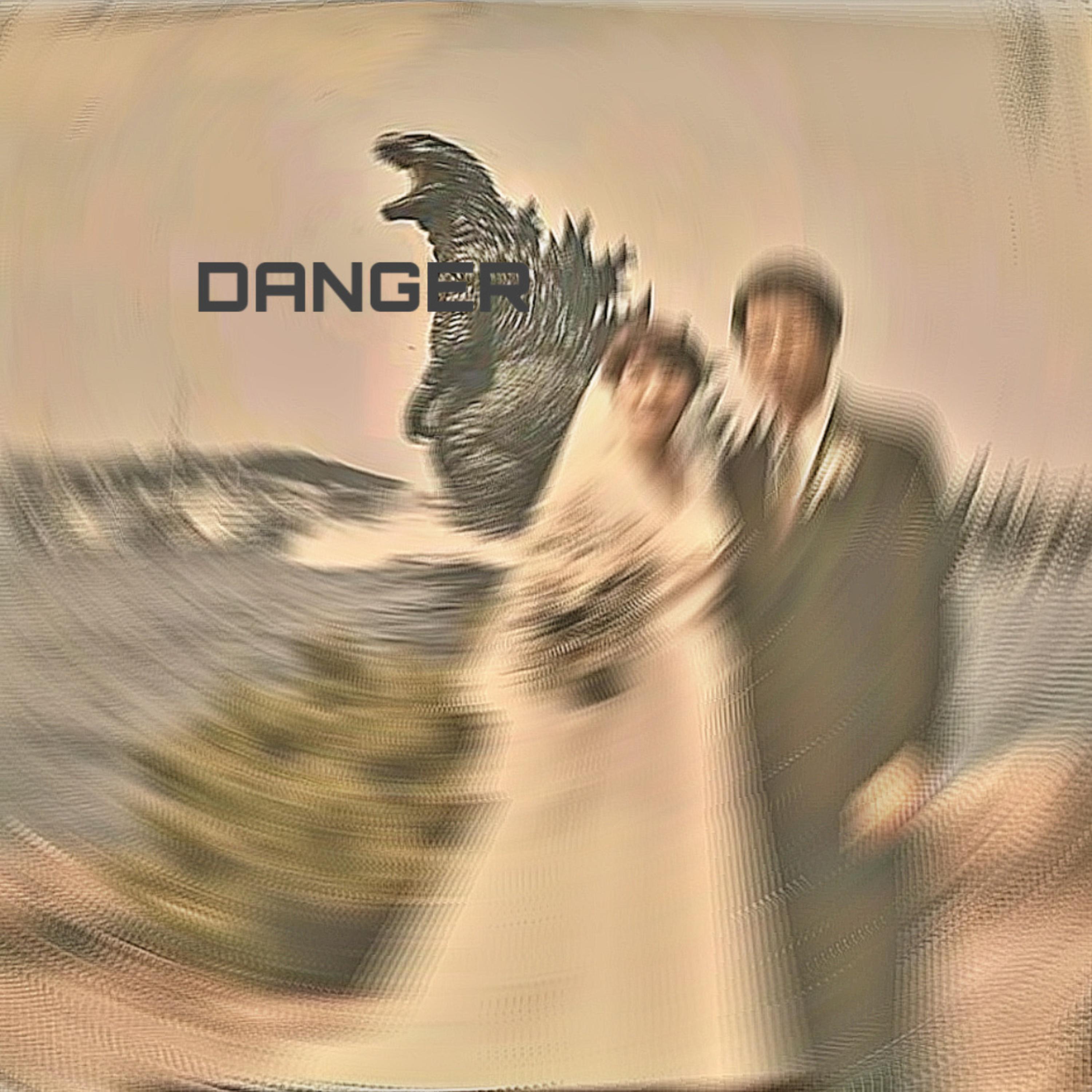 DANGER artwork