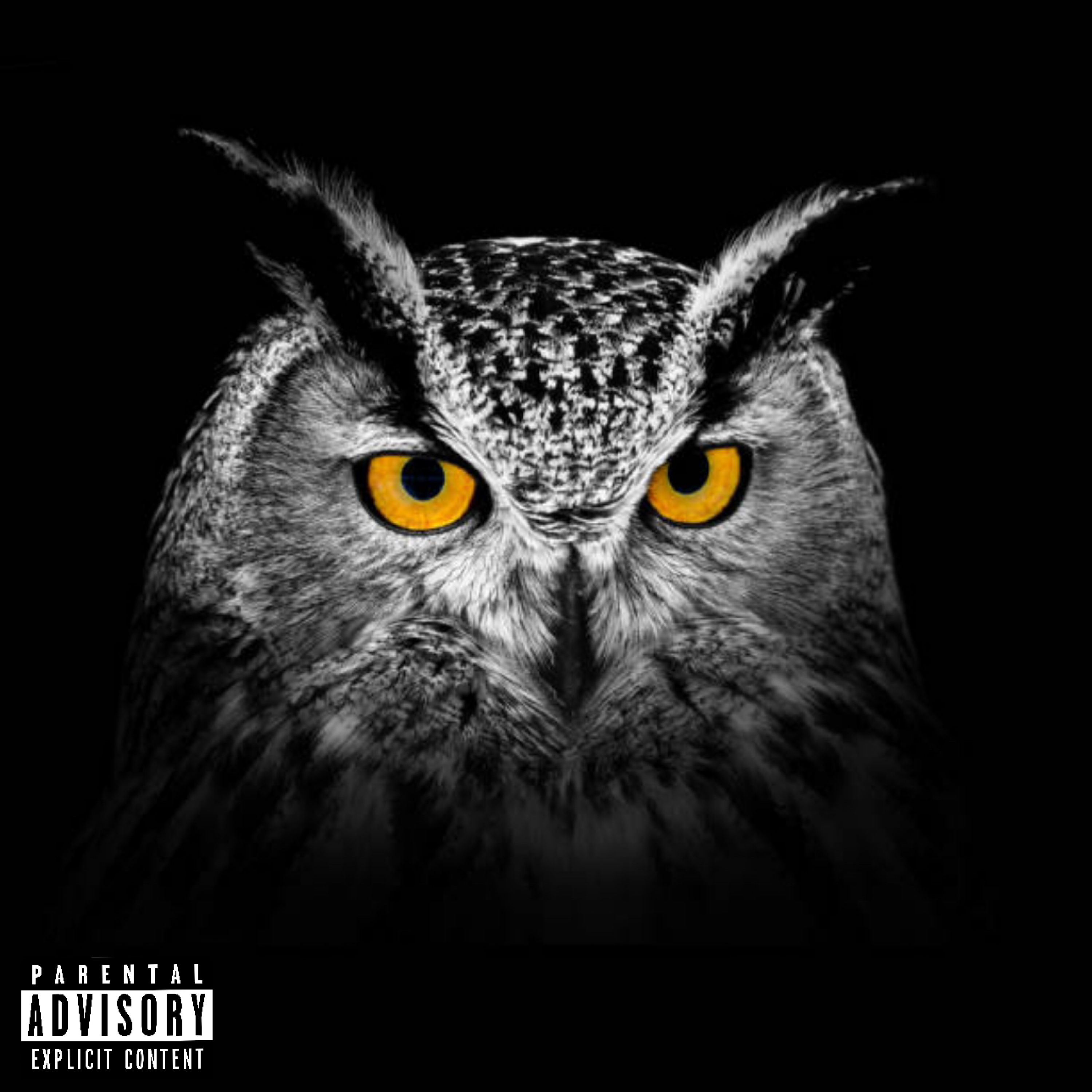Big Owl artwork