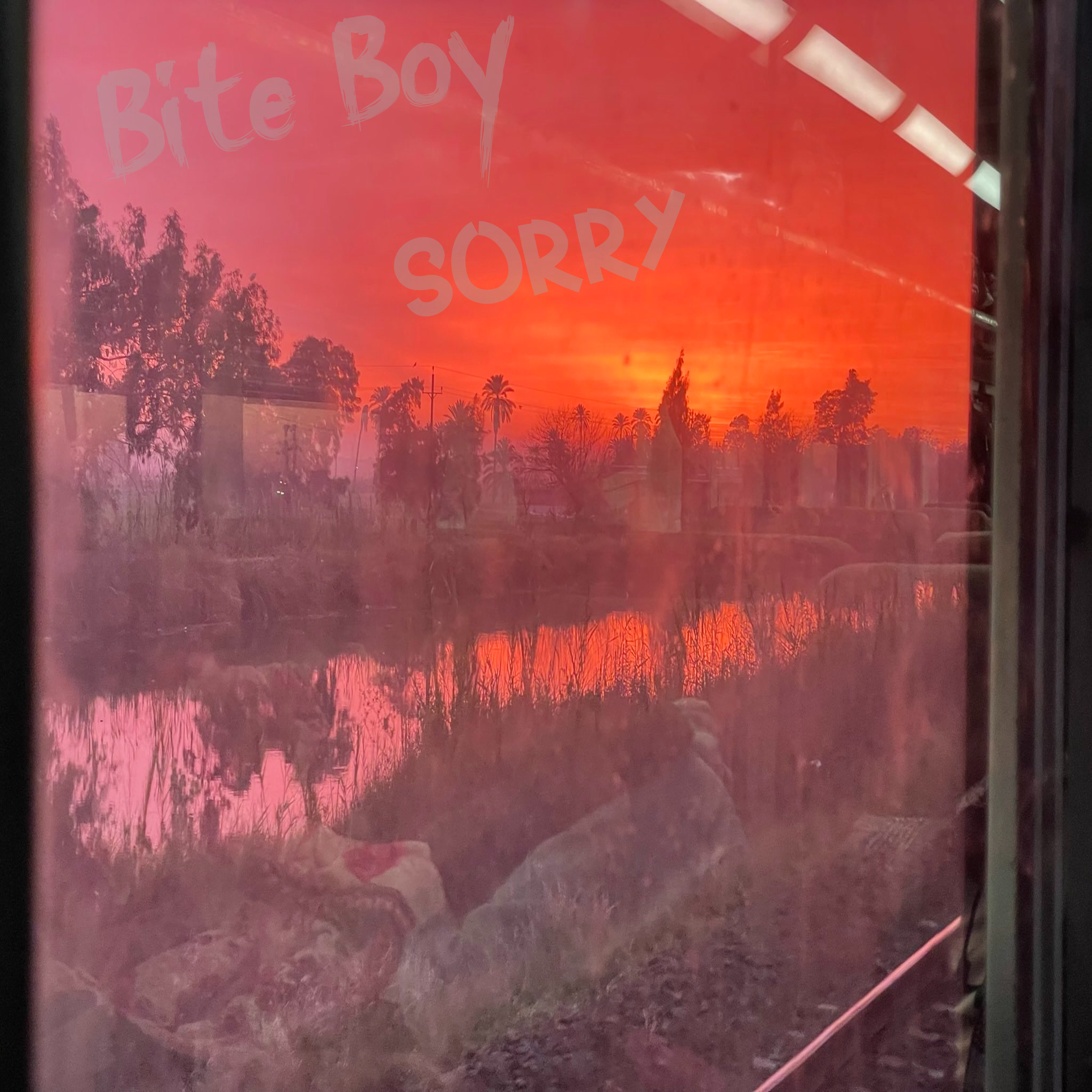 Sorry artwork