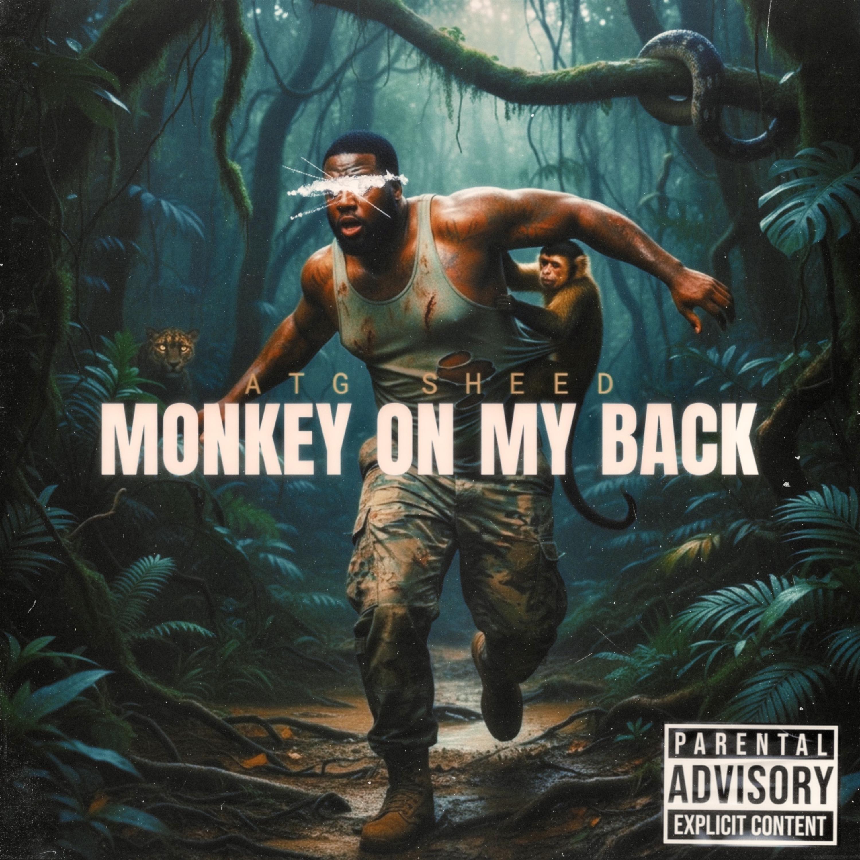 Monkey On My Back artwork