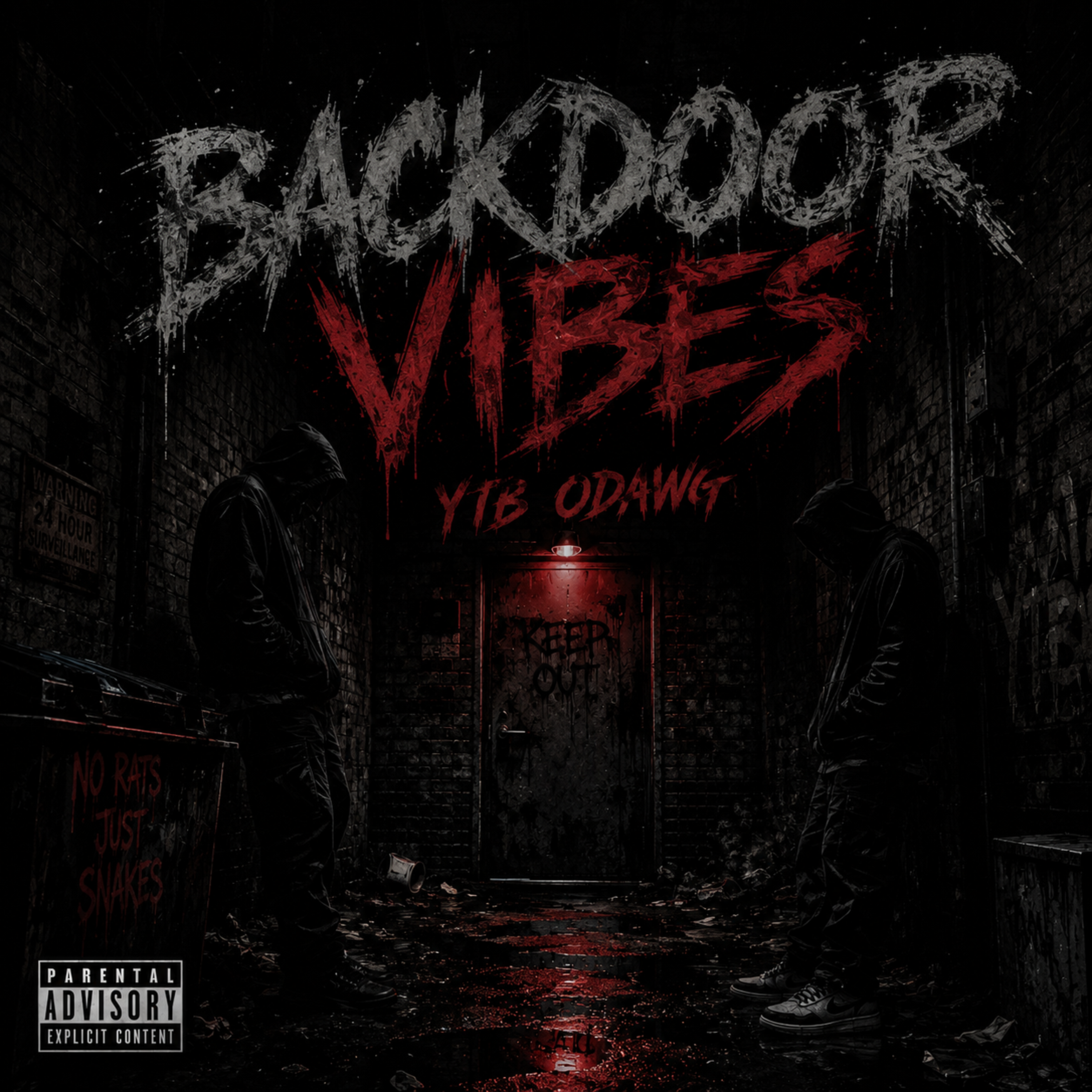 BACKDOOR VIBES by YTB ODAWG cover art