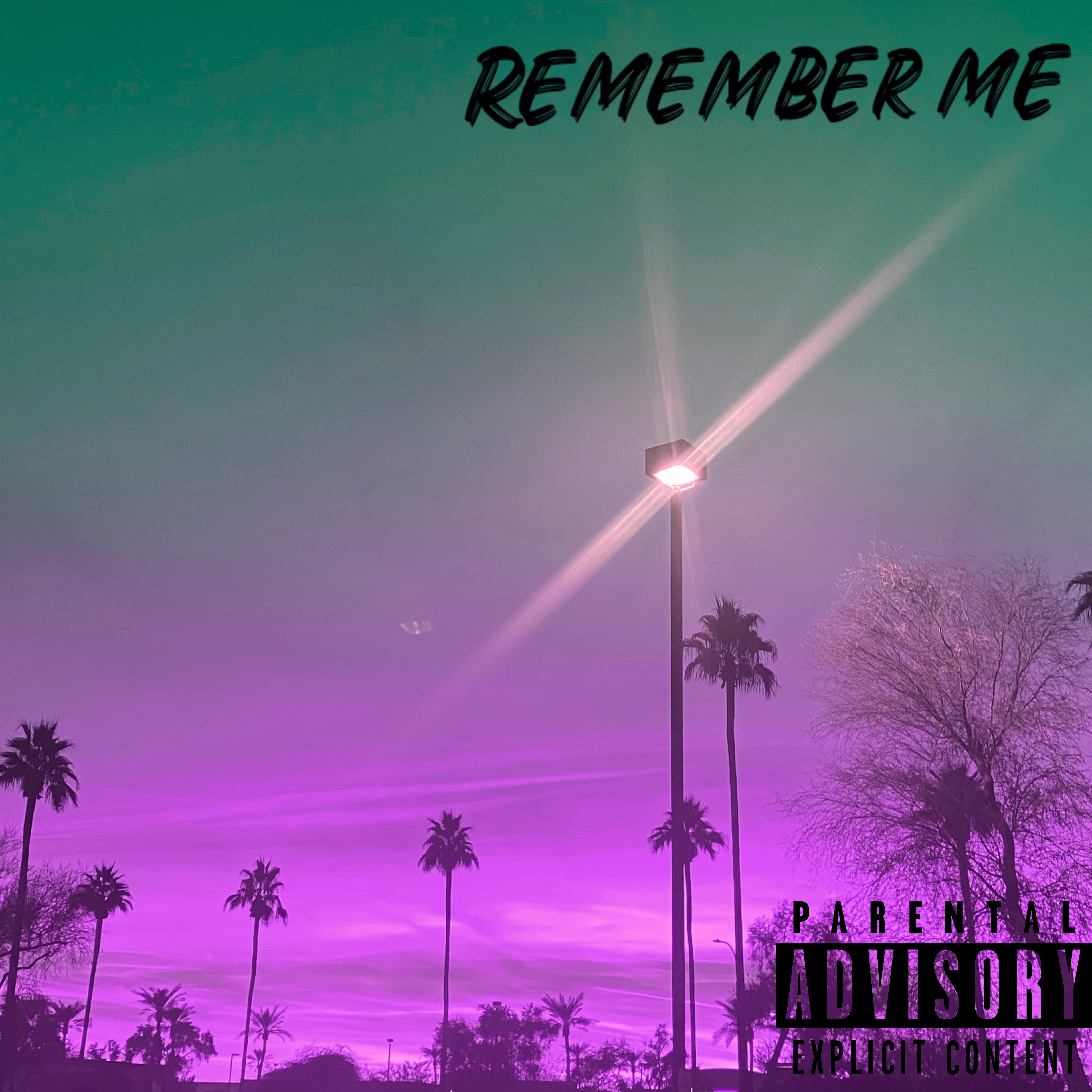 Remember Me artwork