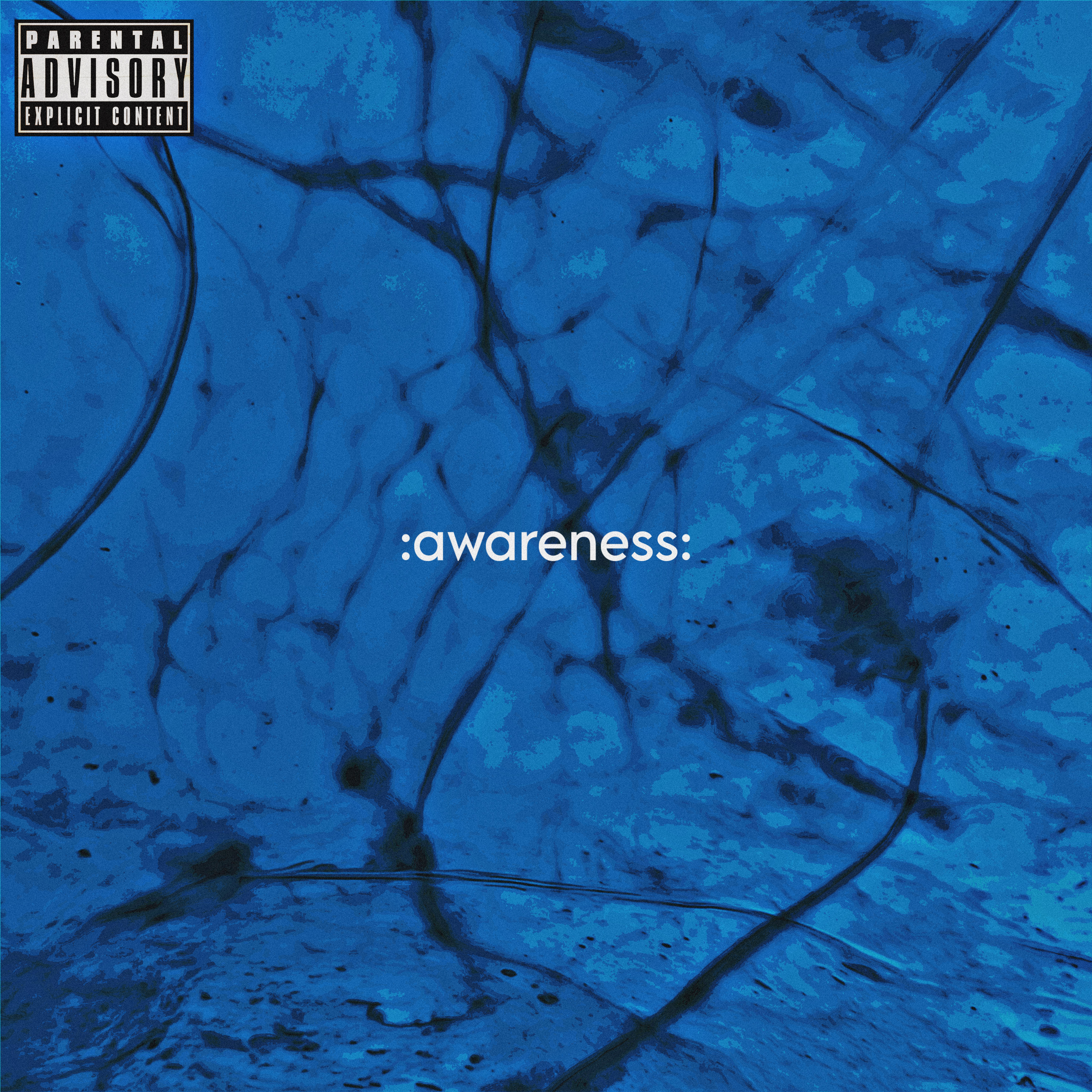 :awareness: by Eyezah Pearl cover art