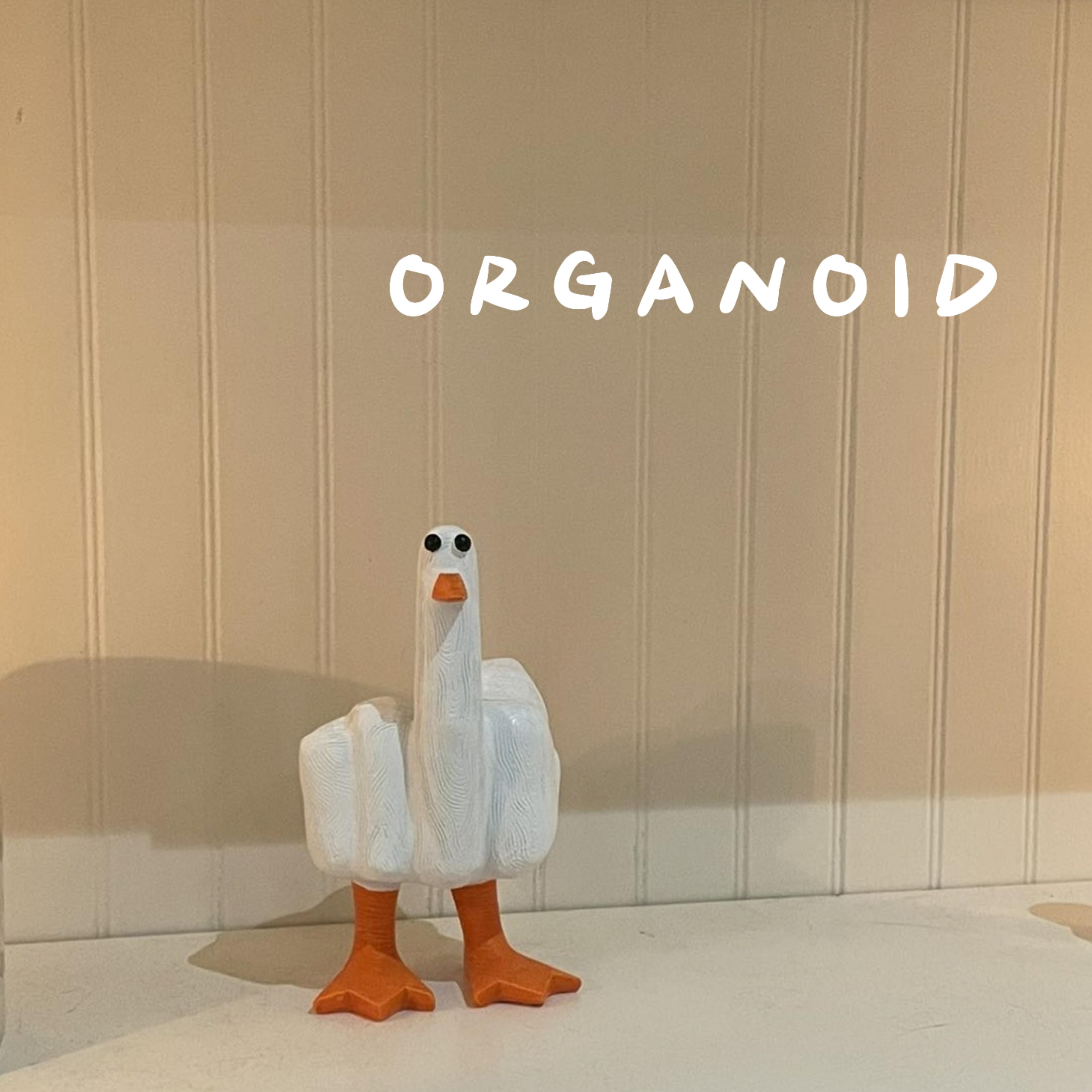 O R G A N O I D artwork
