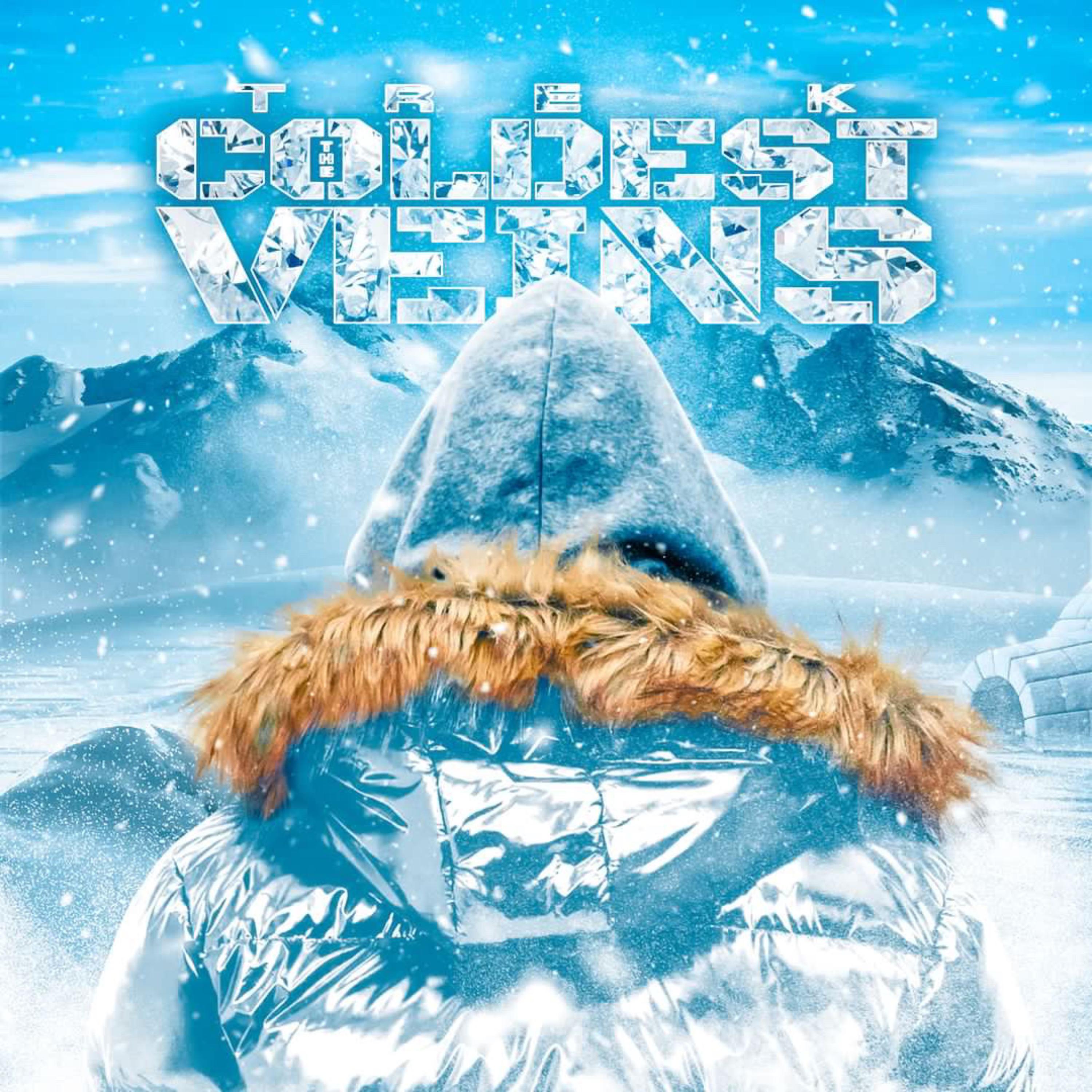 The Coldest Veins artwork