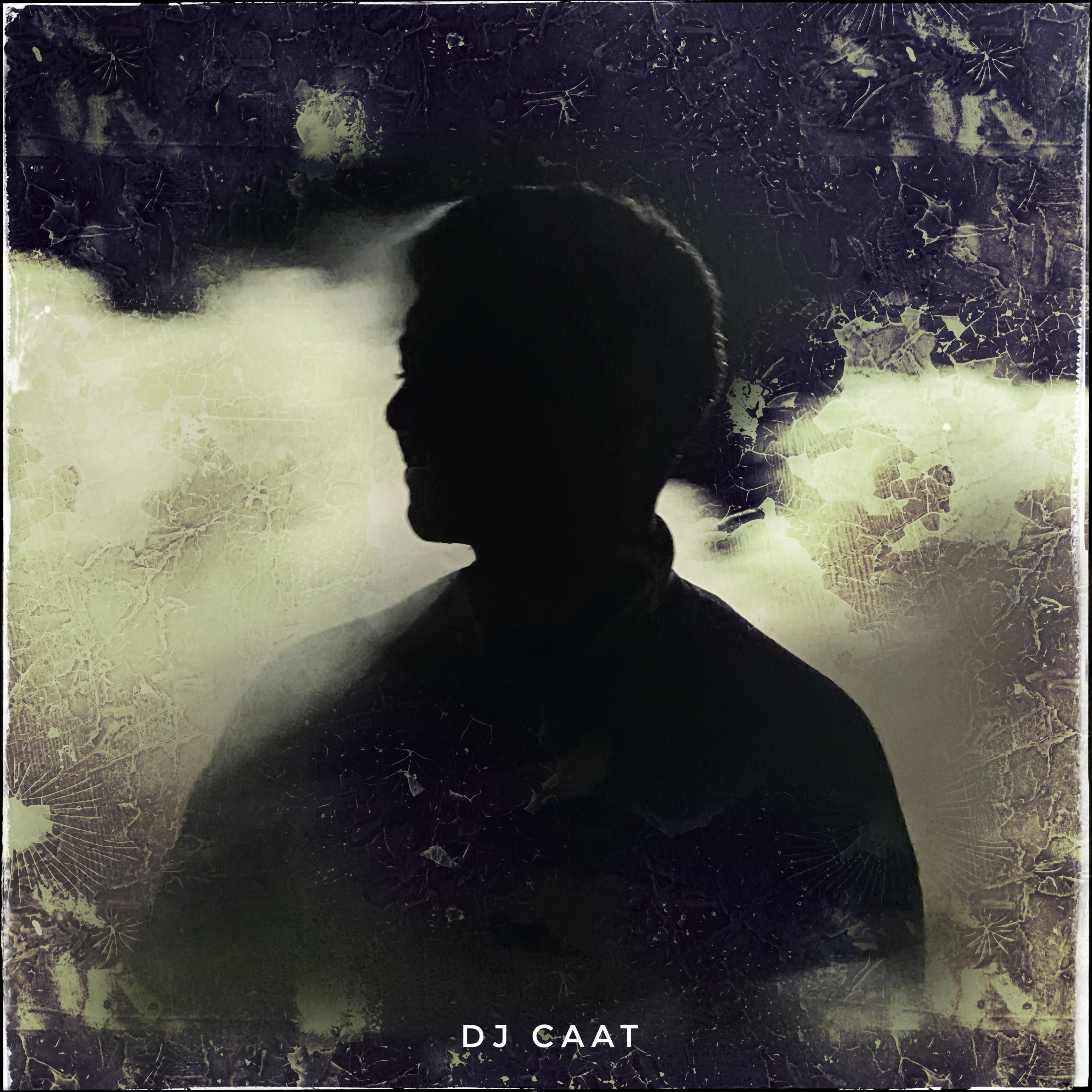 NEPAMORPHOSIS by Dj Caat cover art