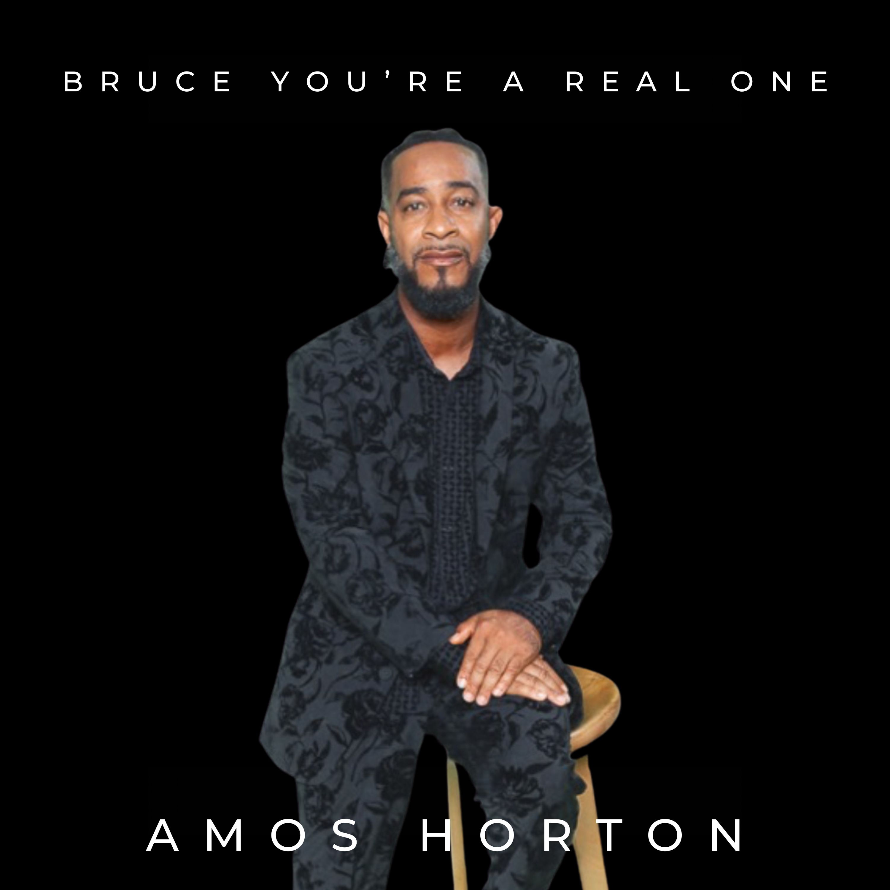 Bruce You’re A Real One artwork