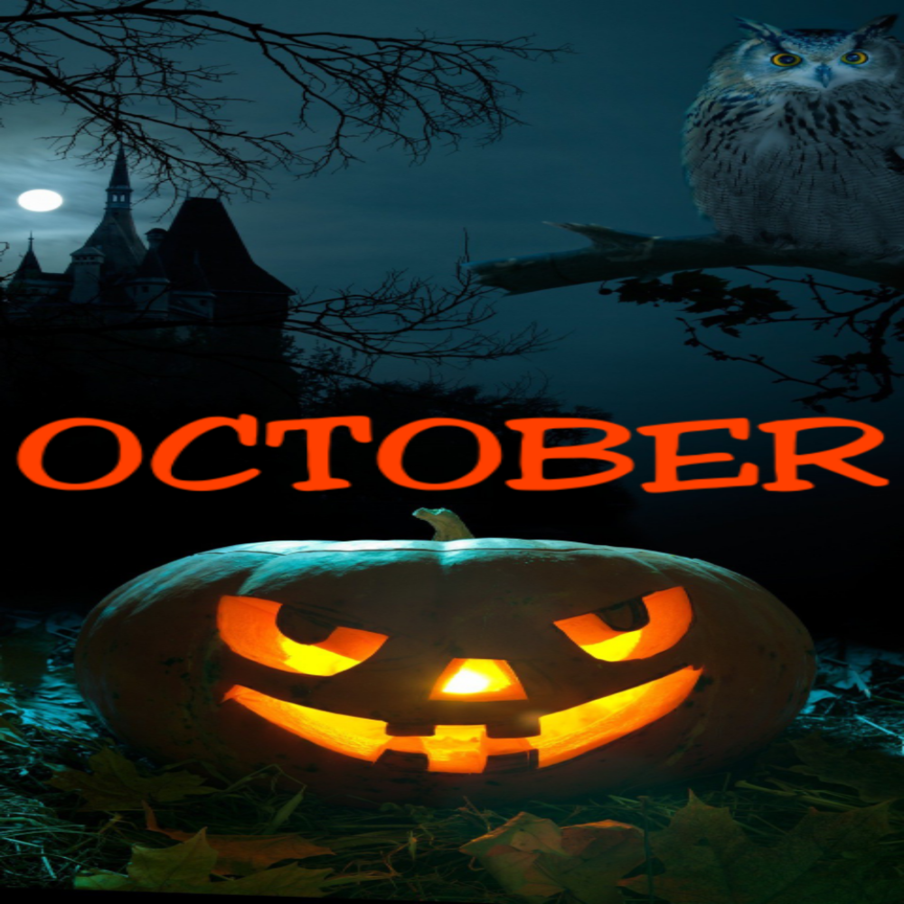 October  by Insane Duece cover art