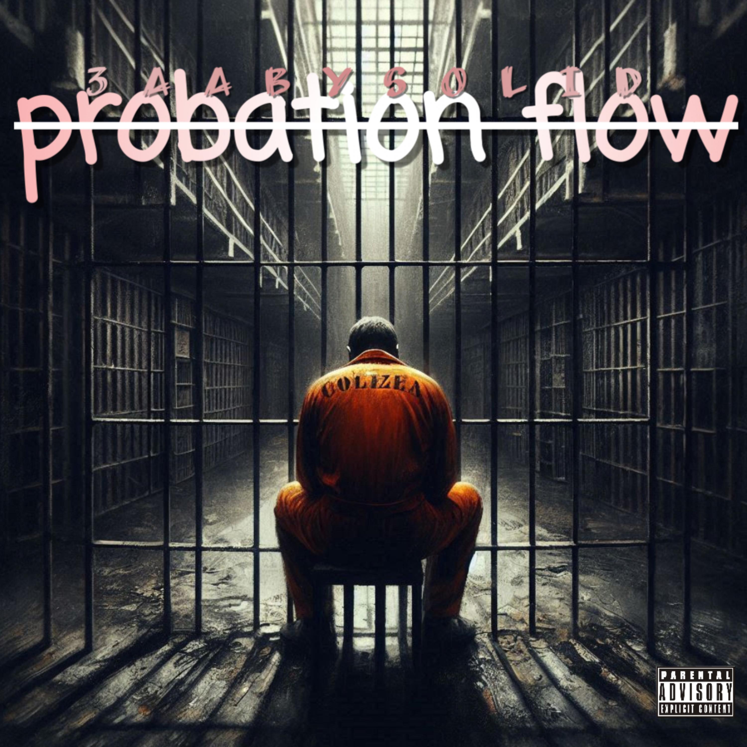 Probation Flow artwork