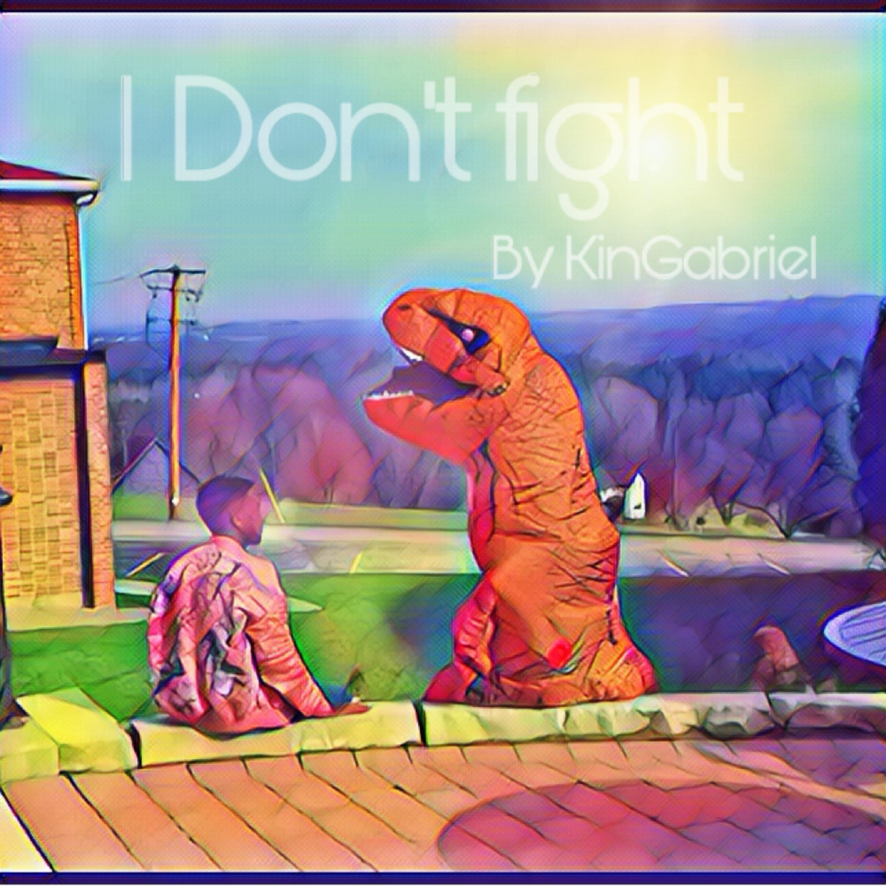 I Don't Fight artwork