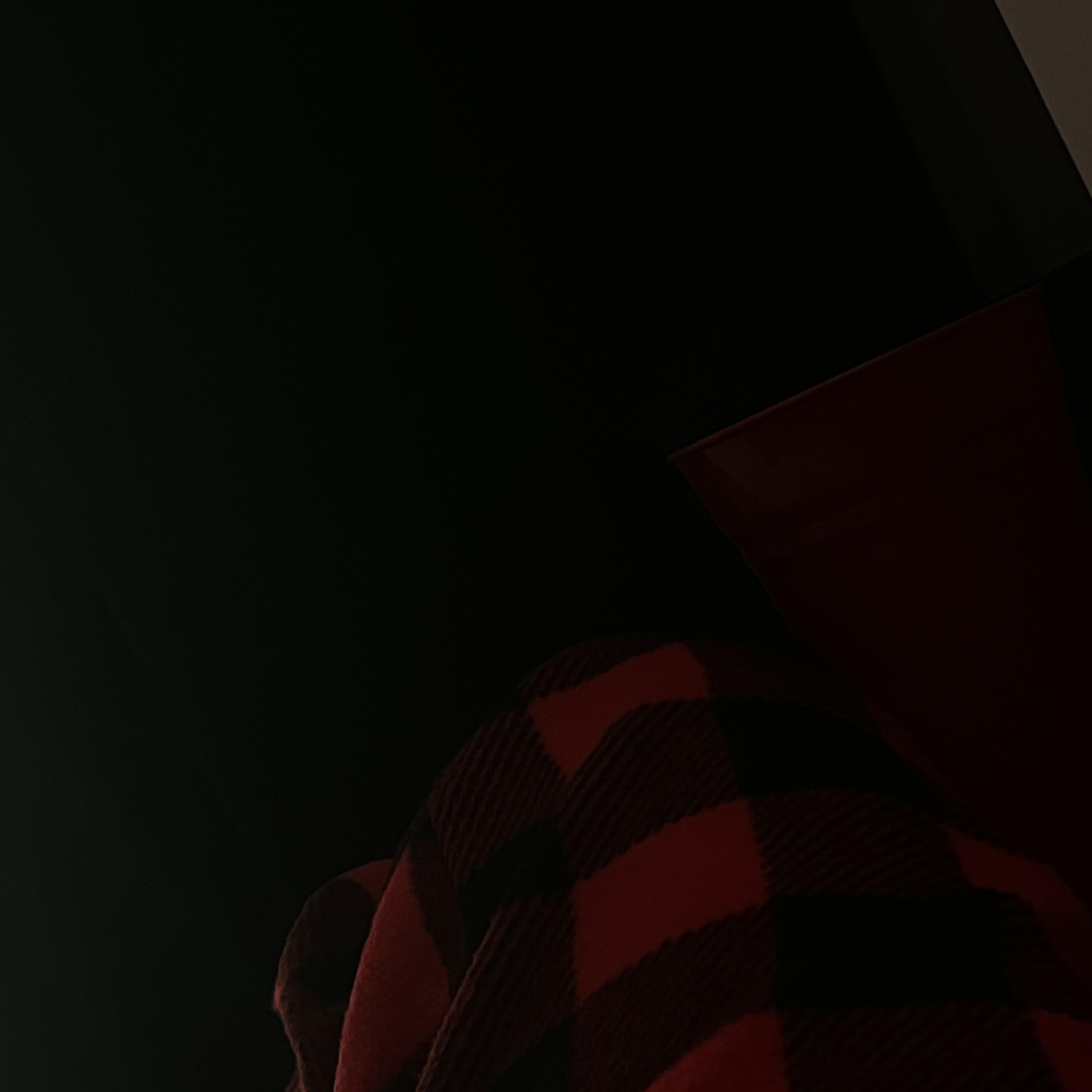 Critters Of Halloween artwork