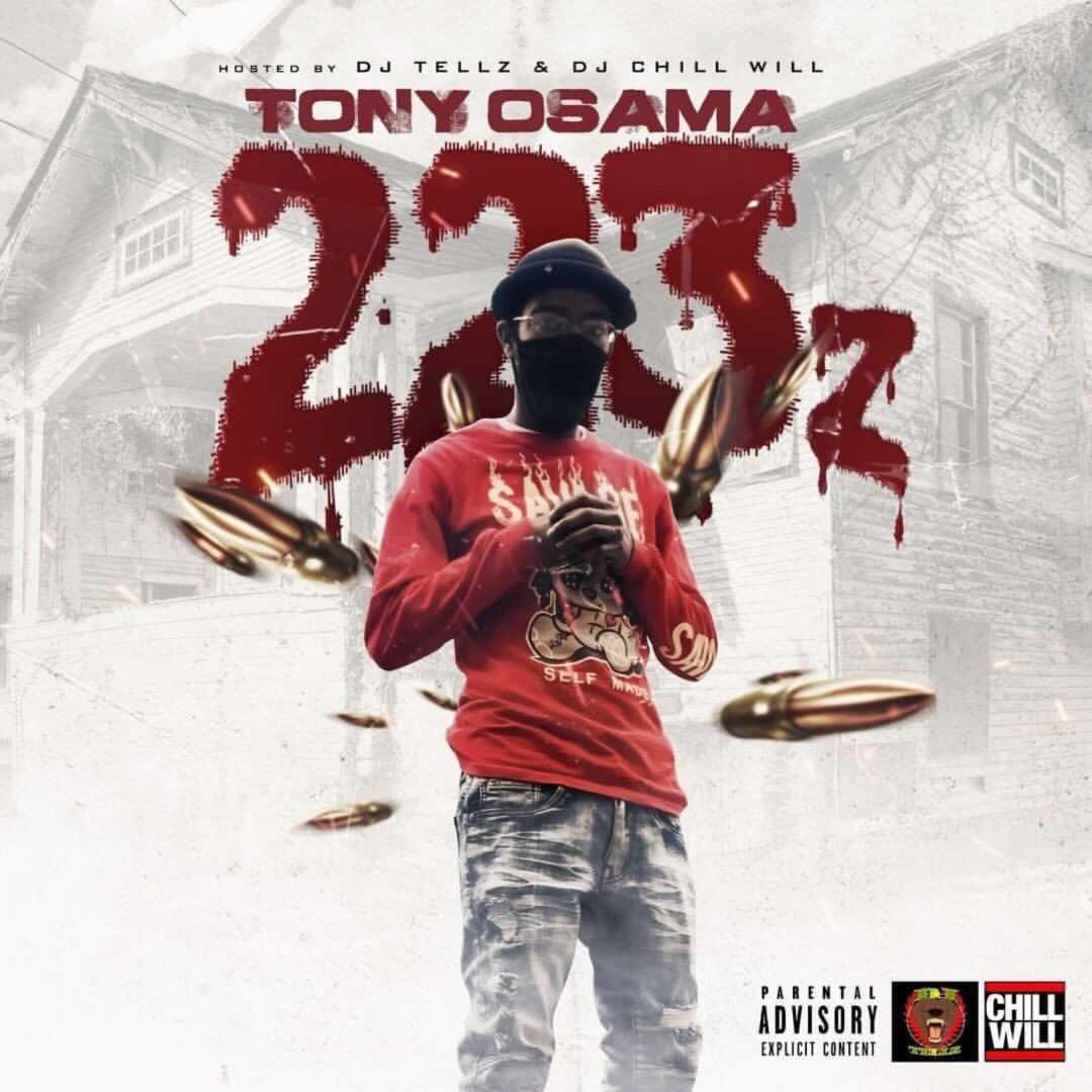 223z artwork