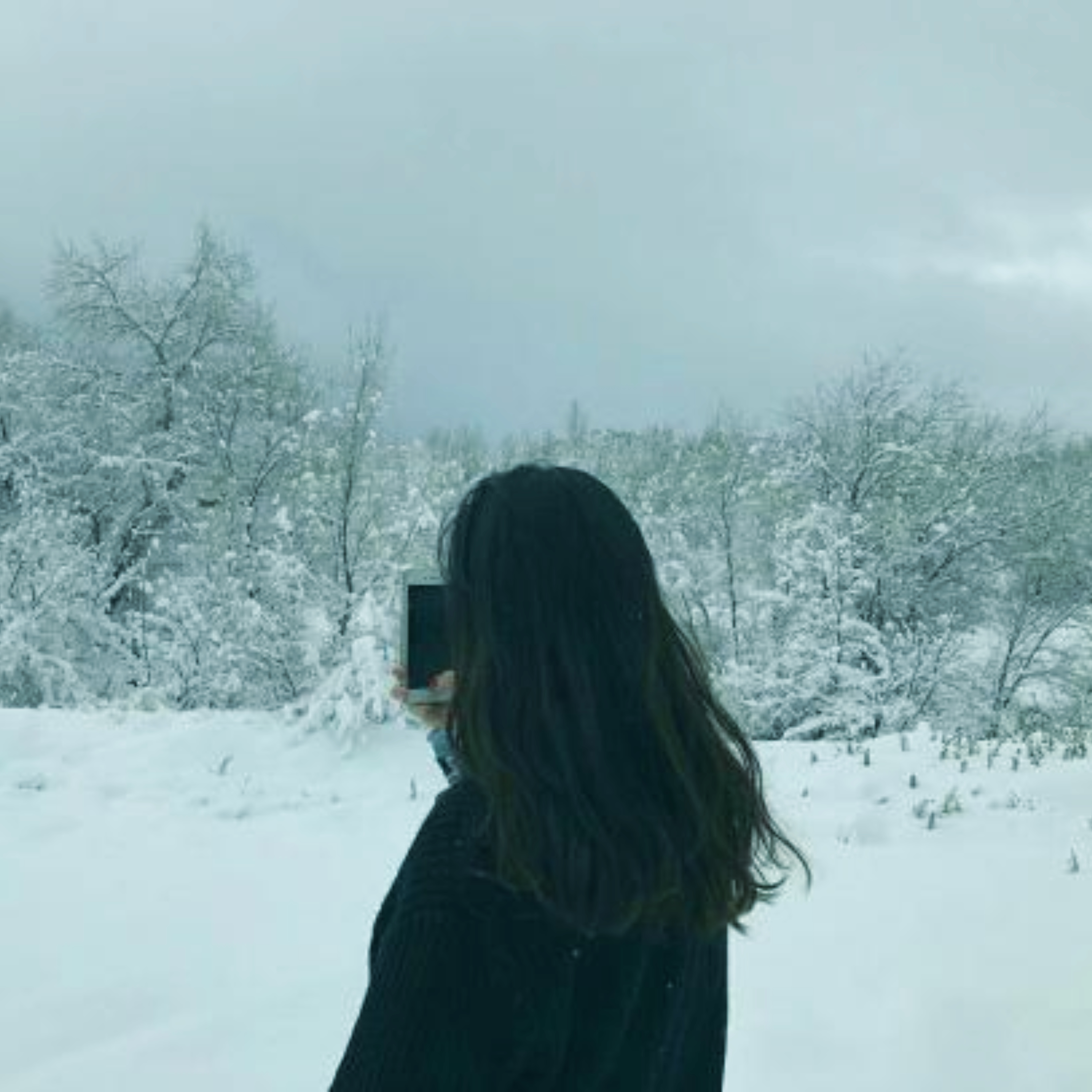 Waiting for Snow artwork