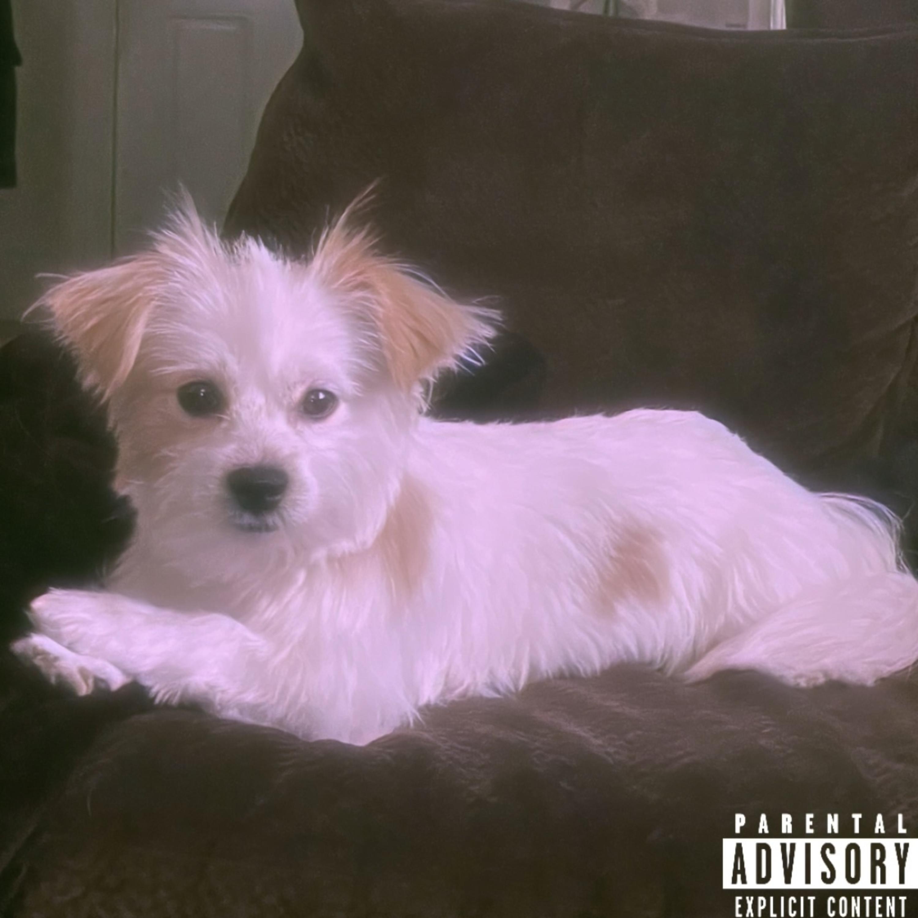 The 3 artwork