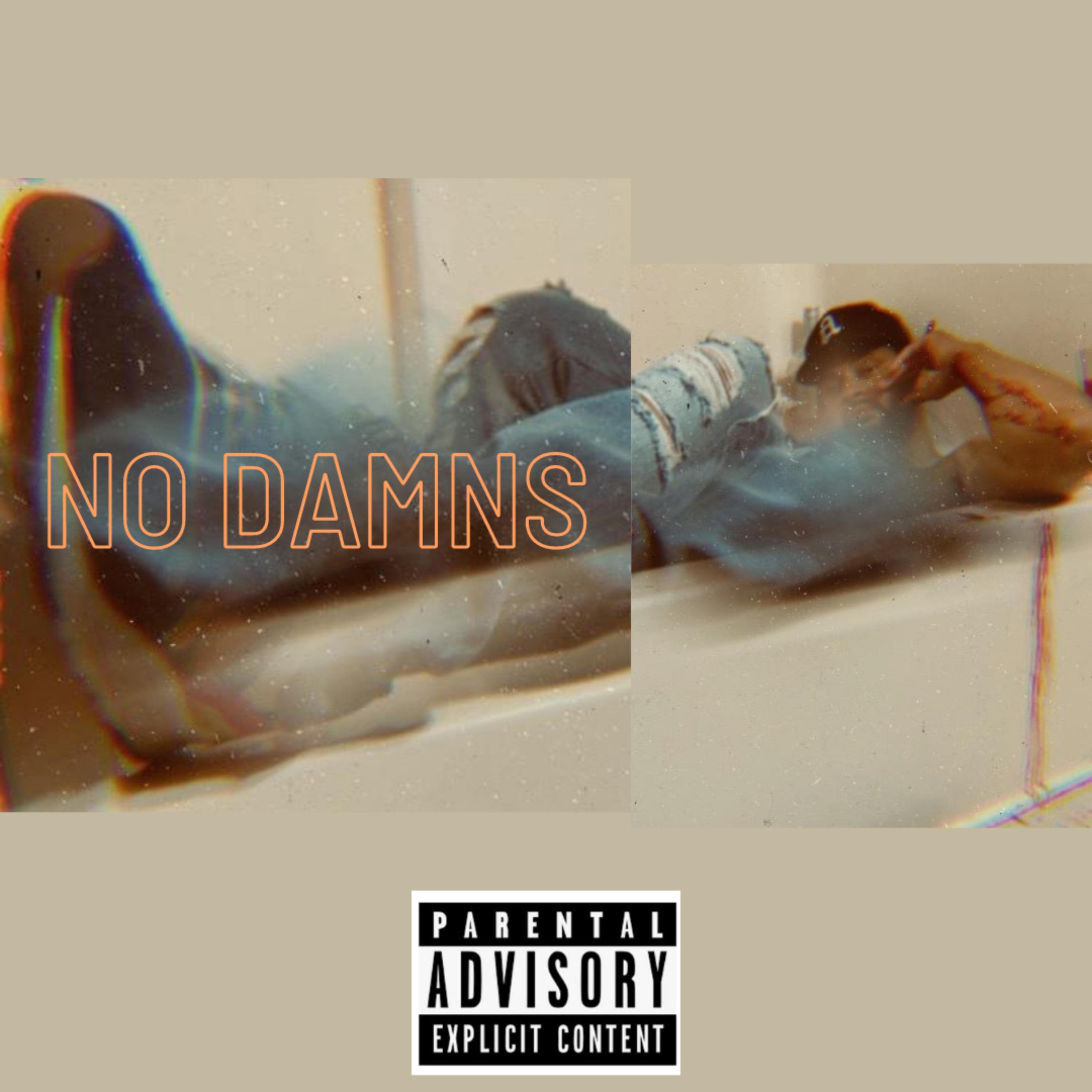 NO DAMNS artwork