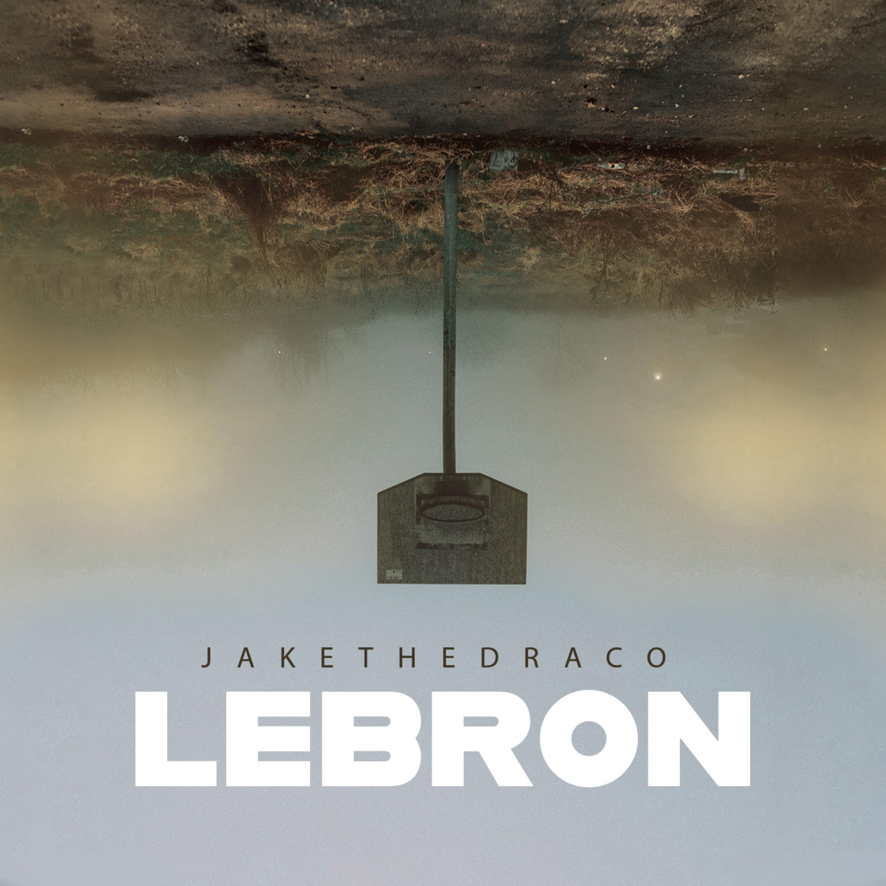 LeBron artwork