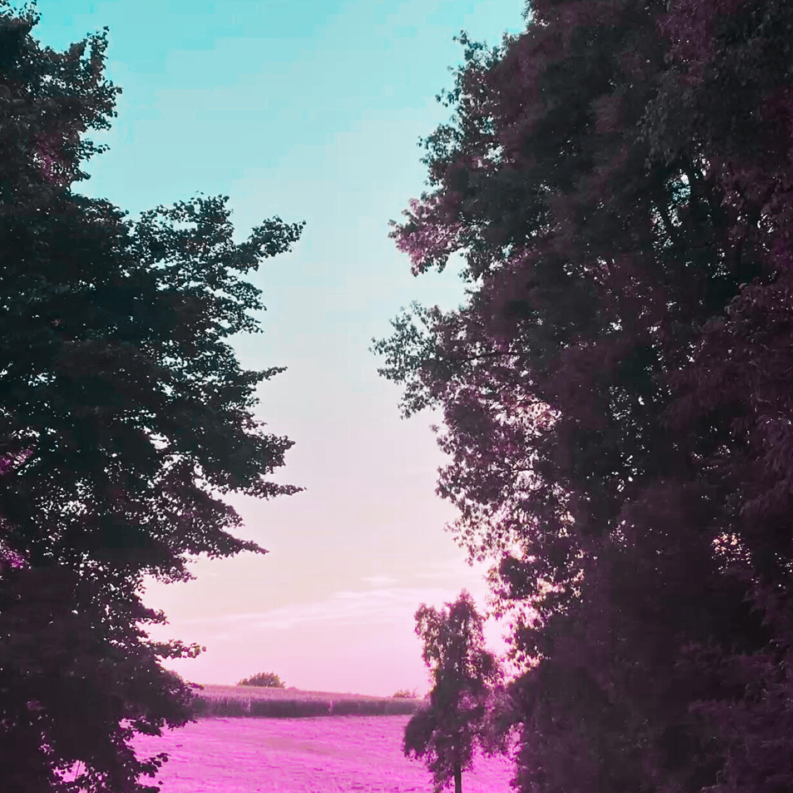 A Long Time artwork
